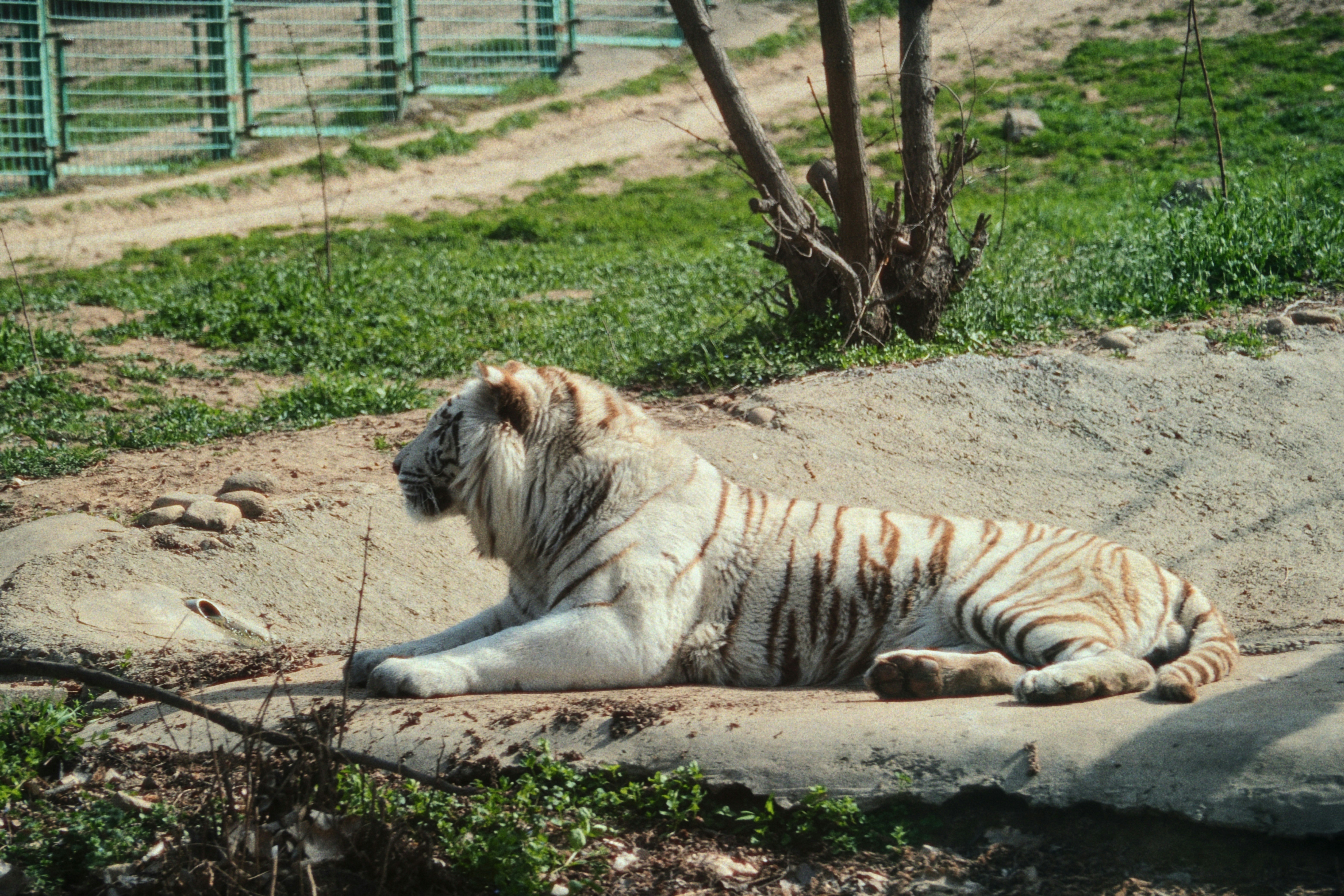 Photo by photohunter