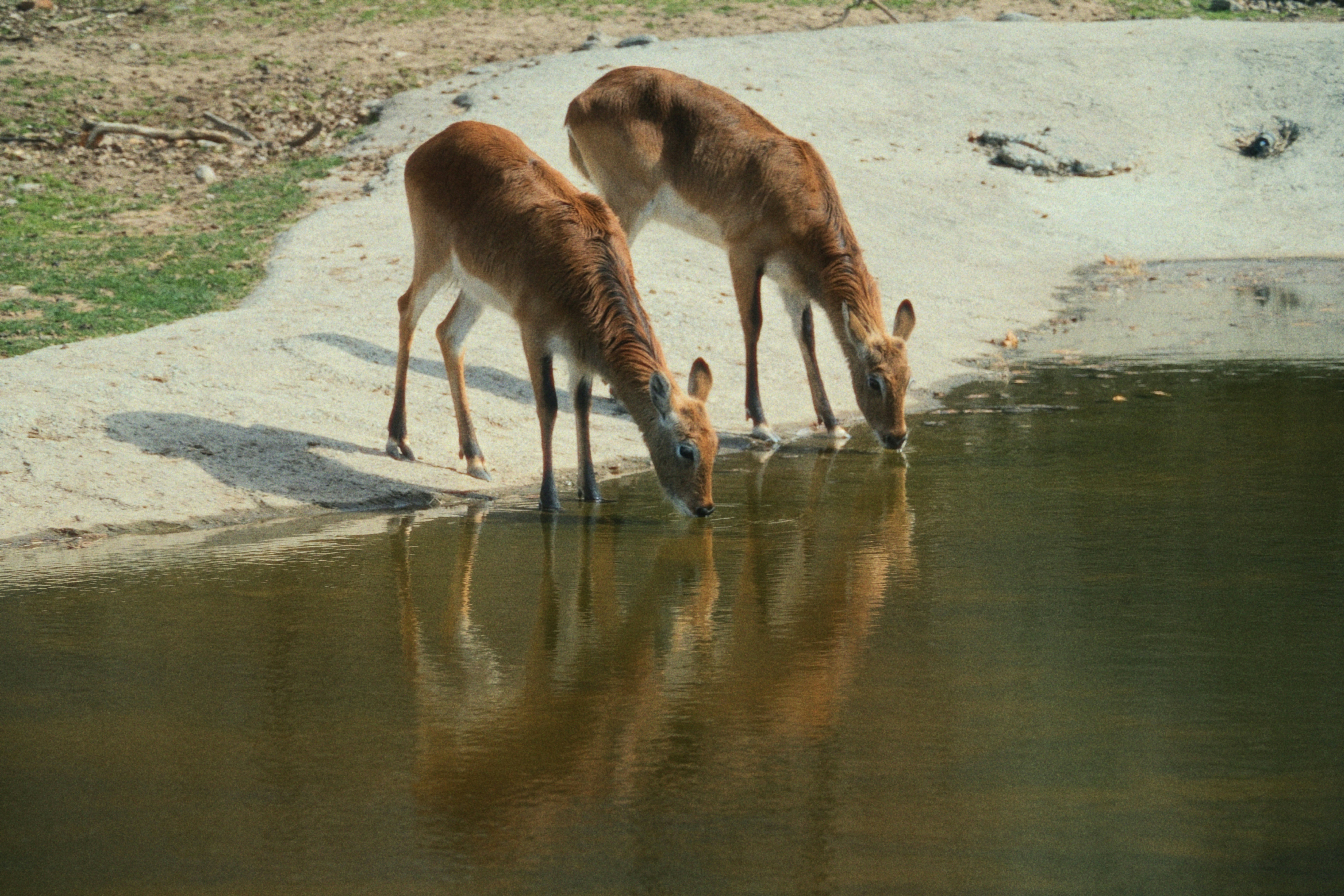 Photo by photohunter