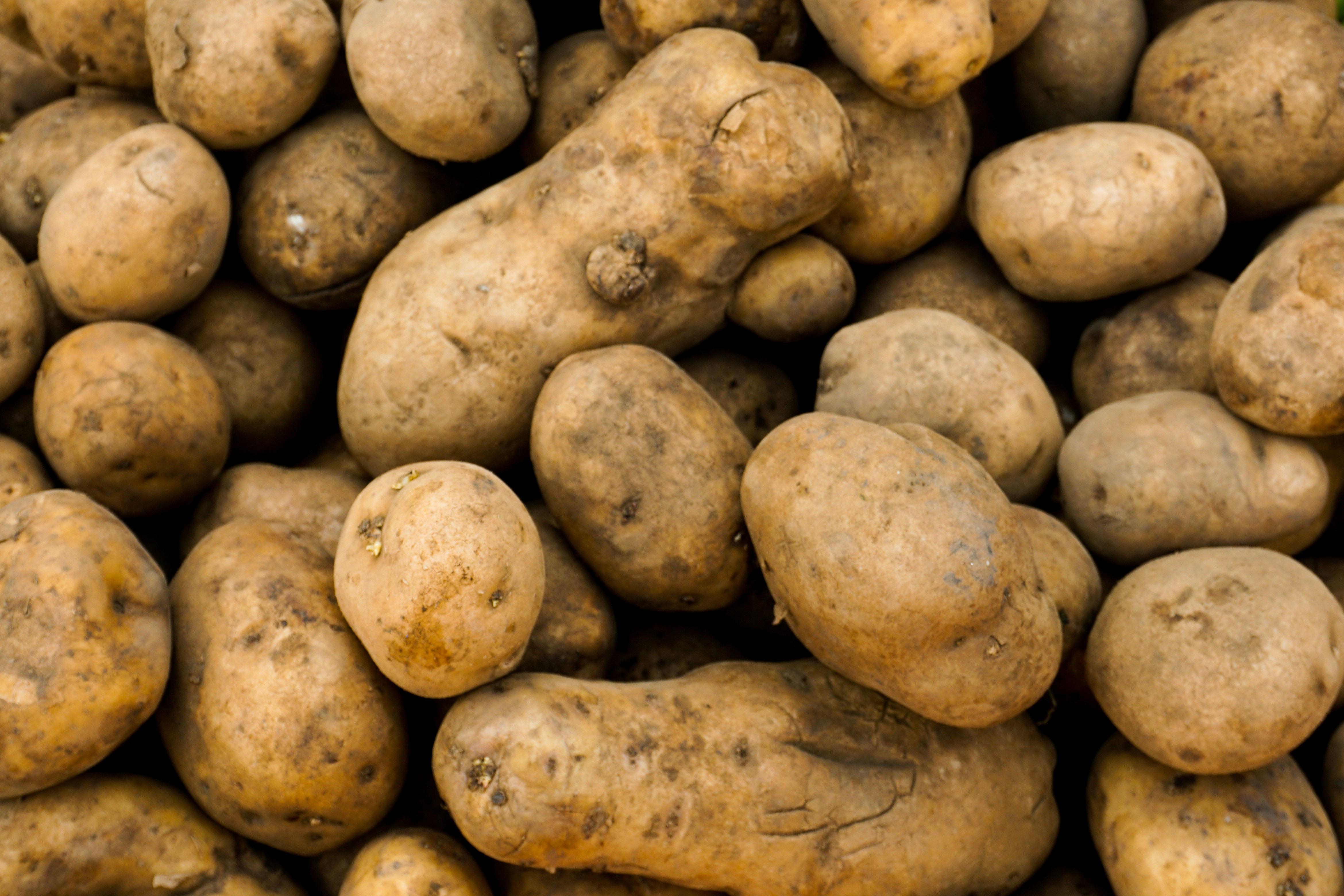 지방시대 개막? 대한민국 균형발전, 판도를 뒤집을 자치분권 강화 논쟁!