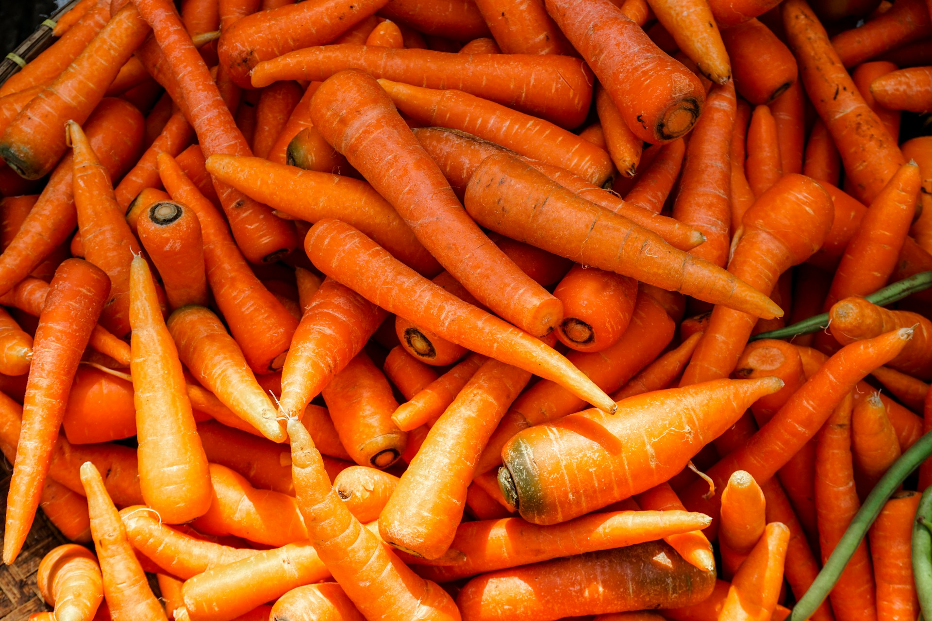 A pile of fresh, orange carrots.