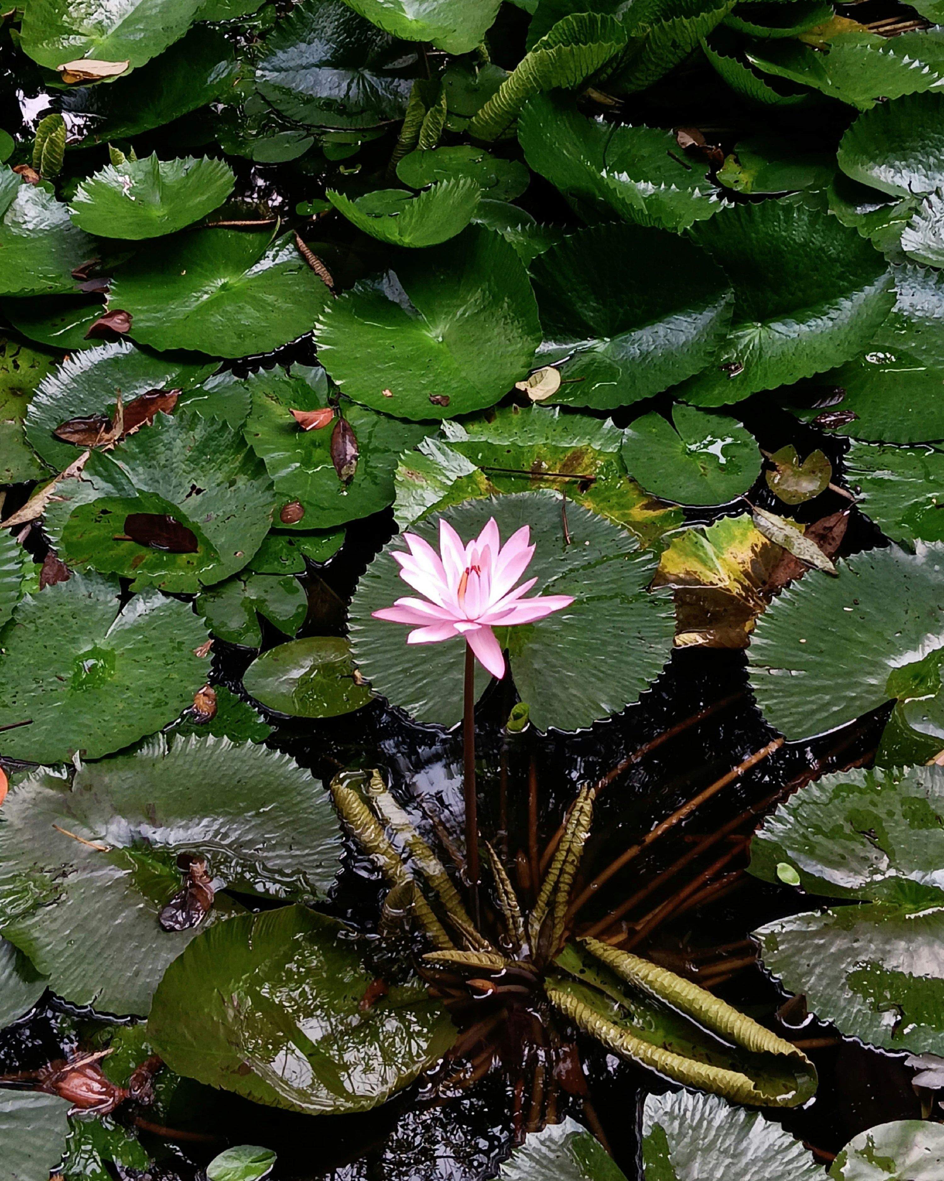 Photo by wafistudios