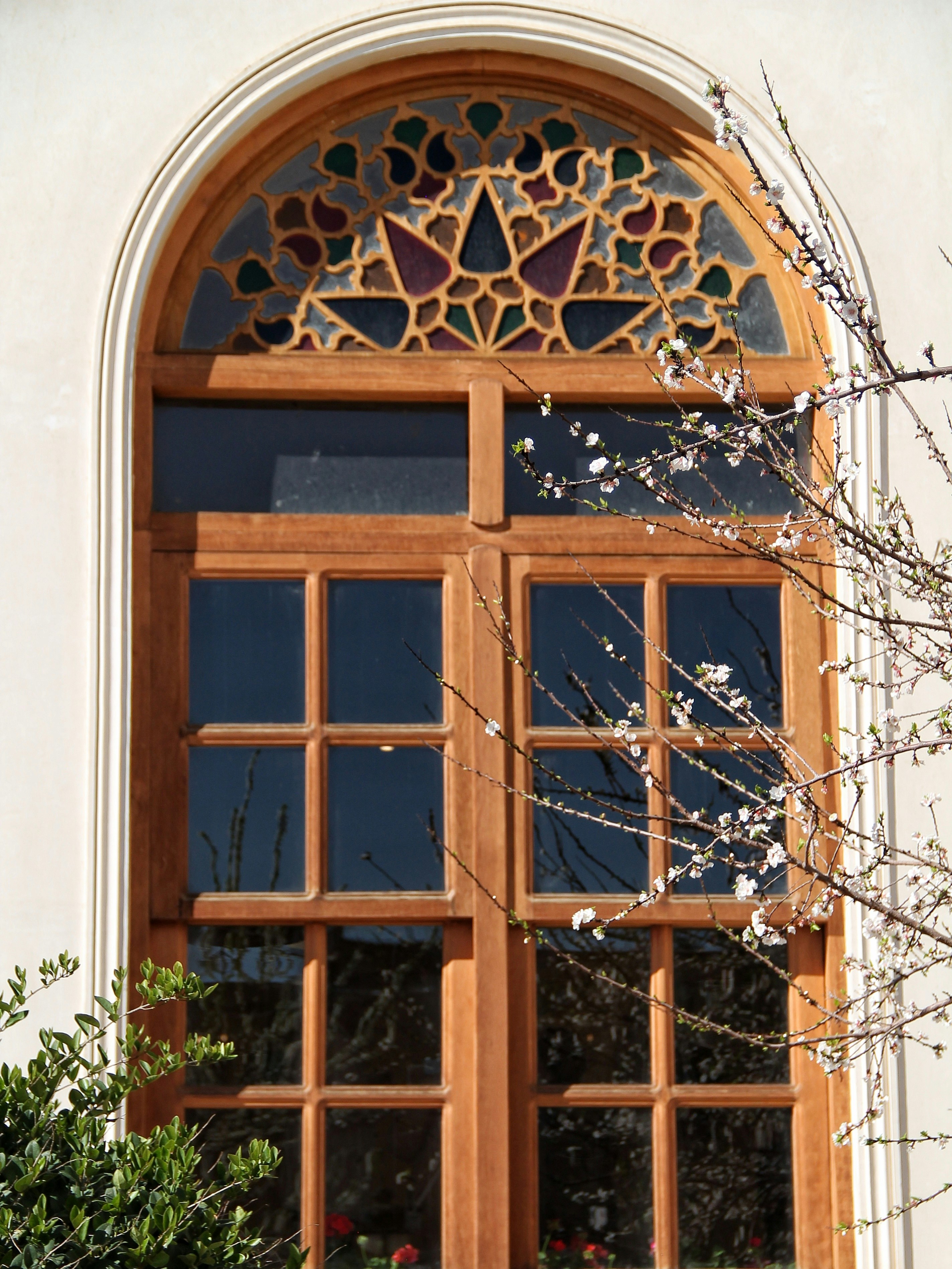 Photo by saharkhosrogorji