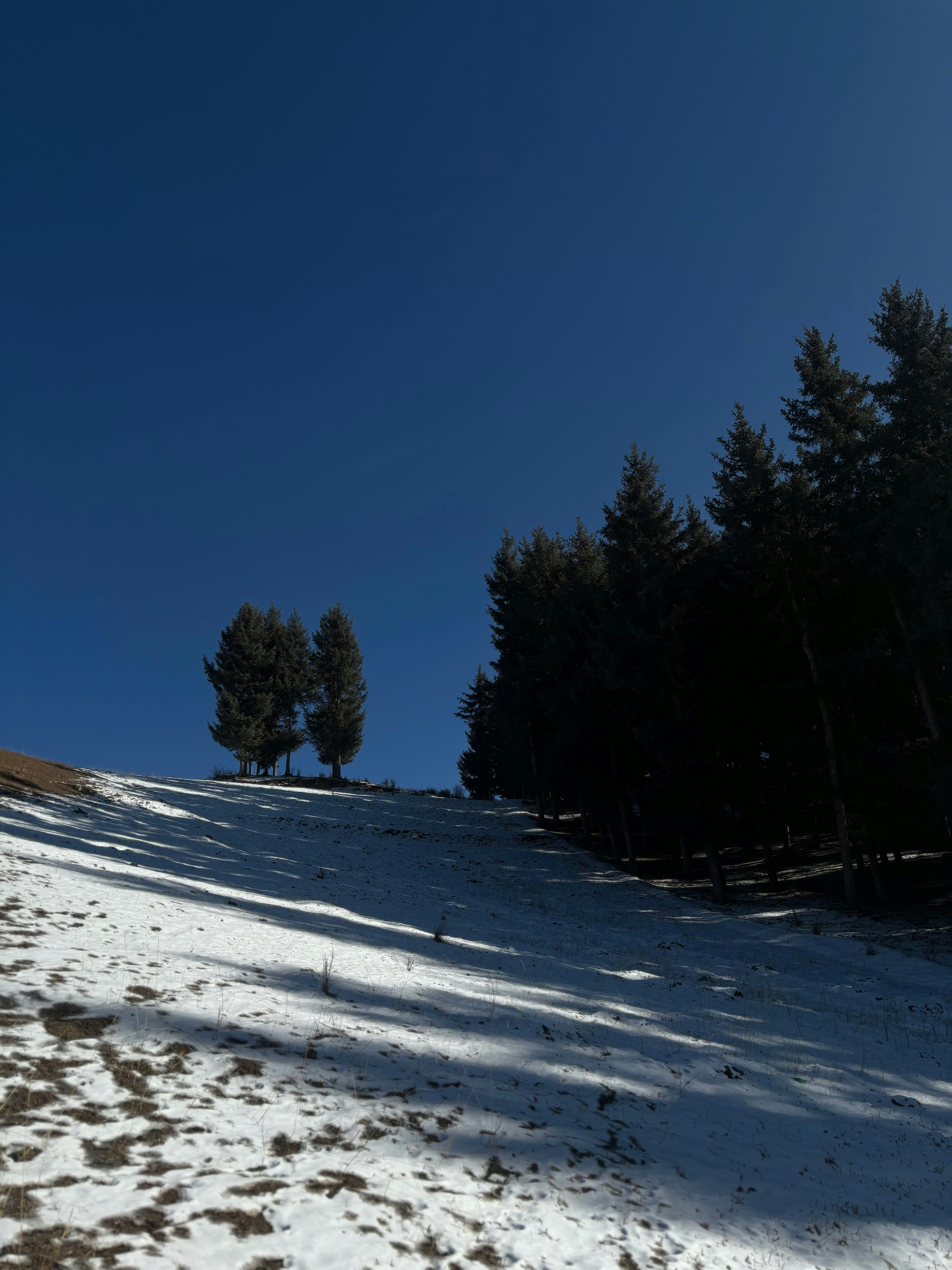 Photo by zhaohongxia