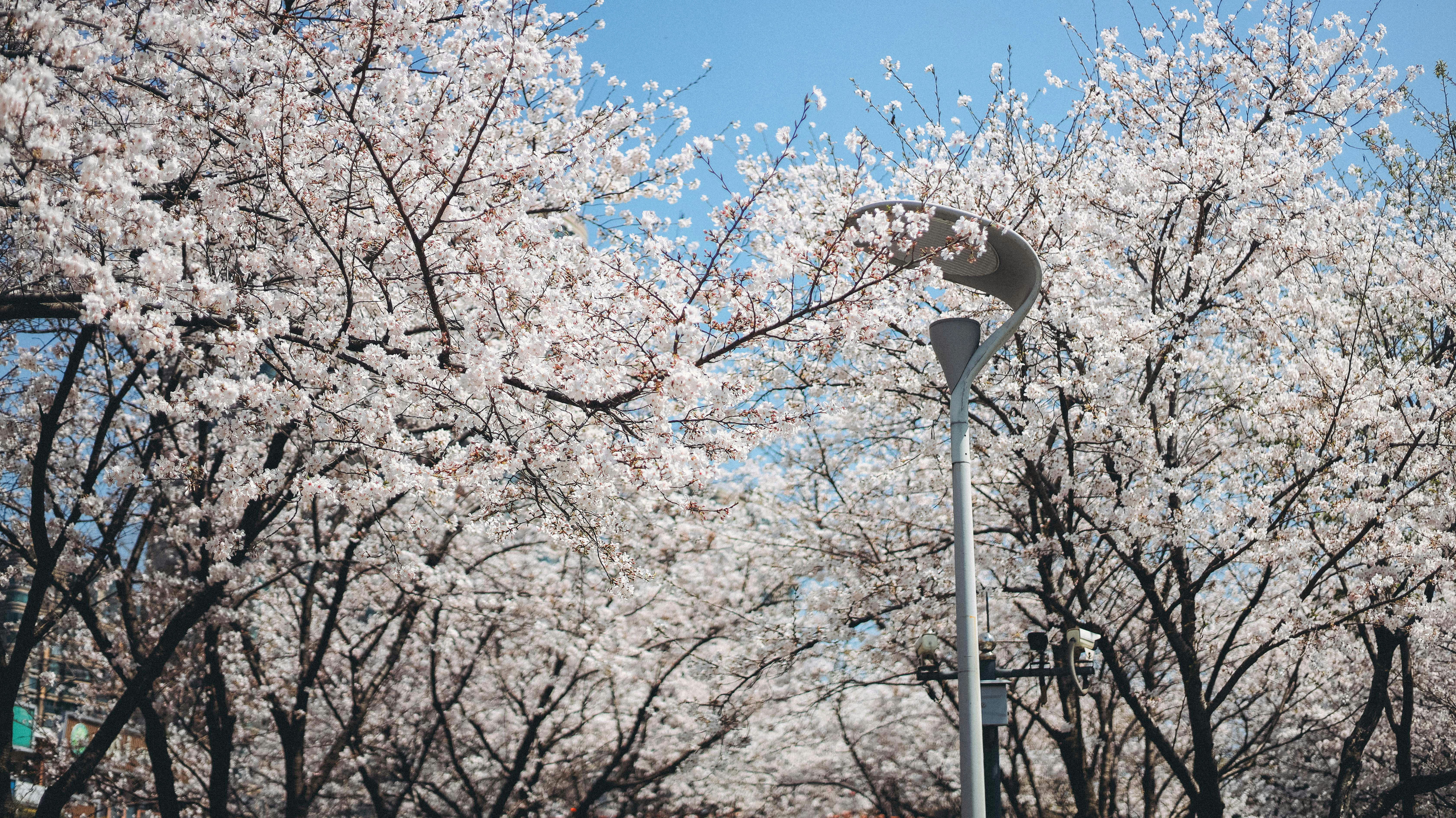 Photo by samyzfs
