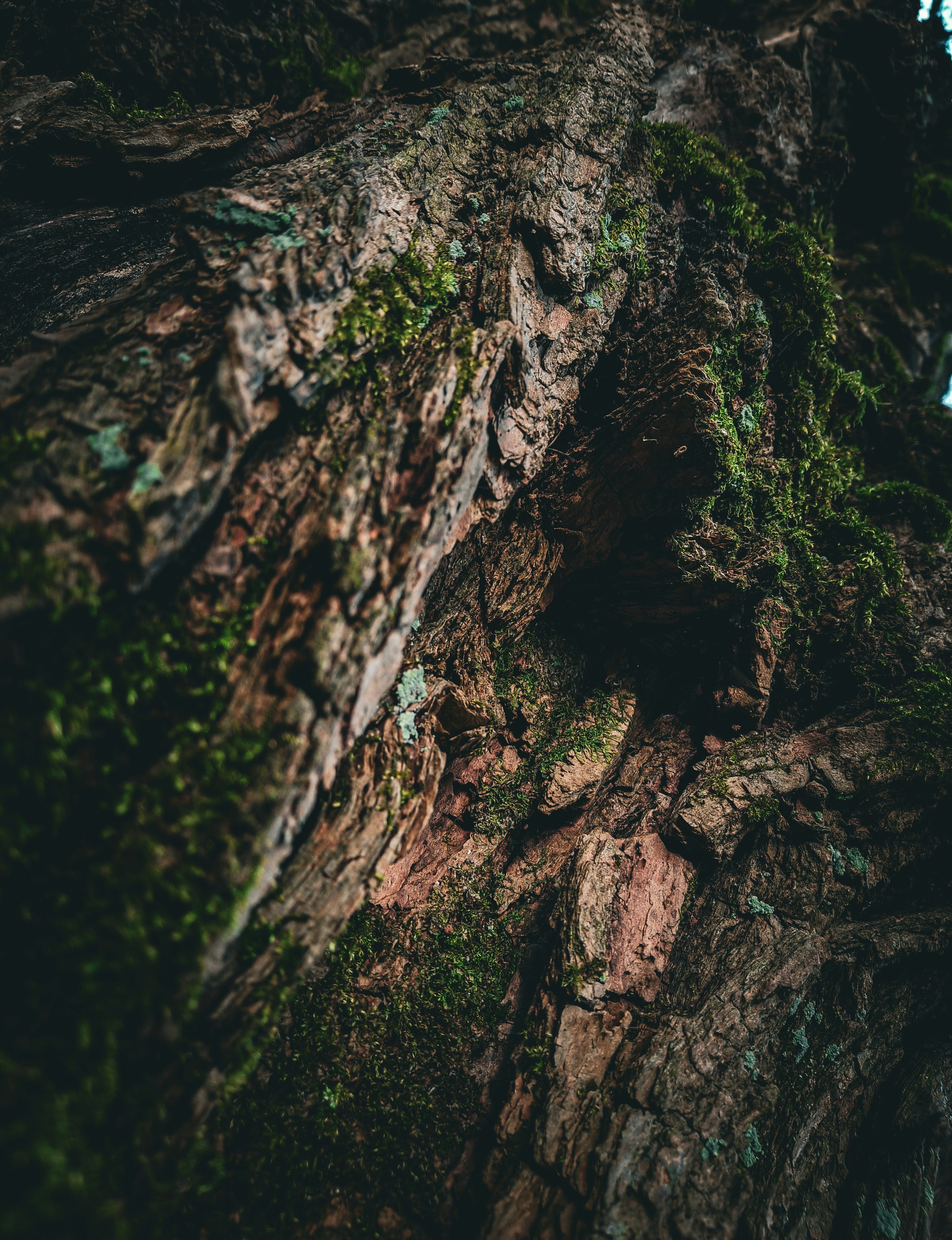 Photo by arthur_rsms