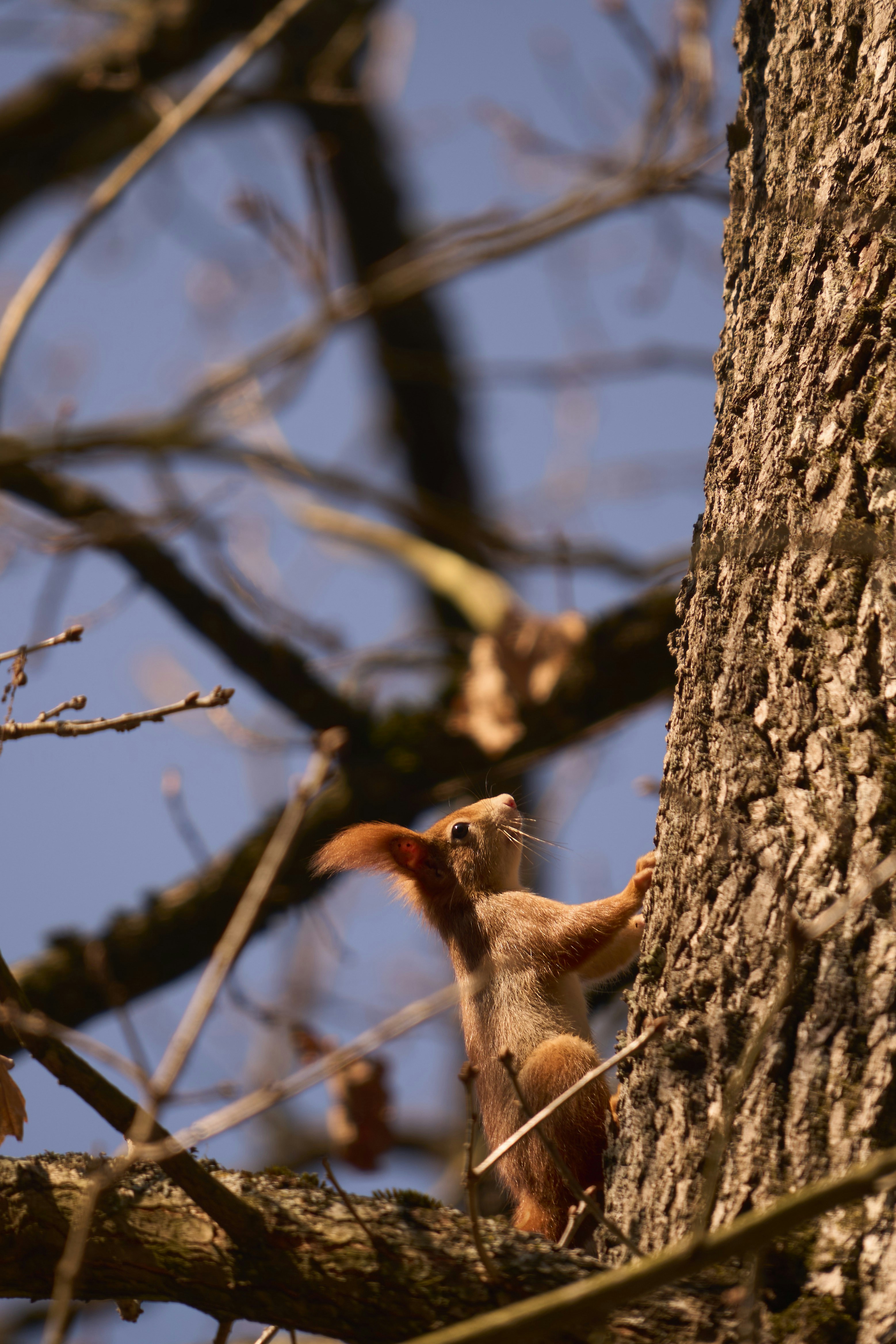 Photo by wolfgang_hasselmann