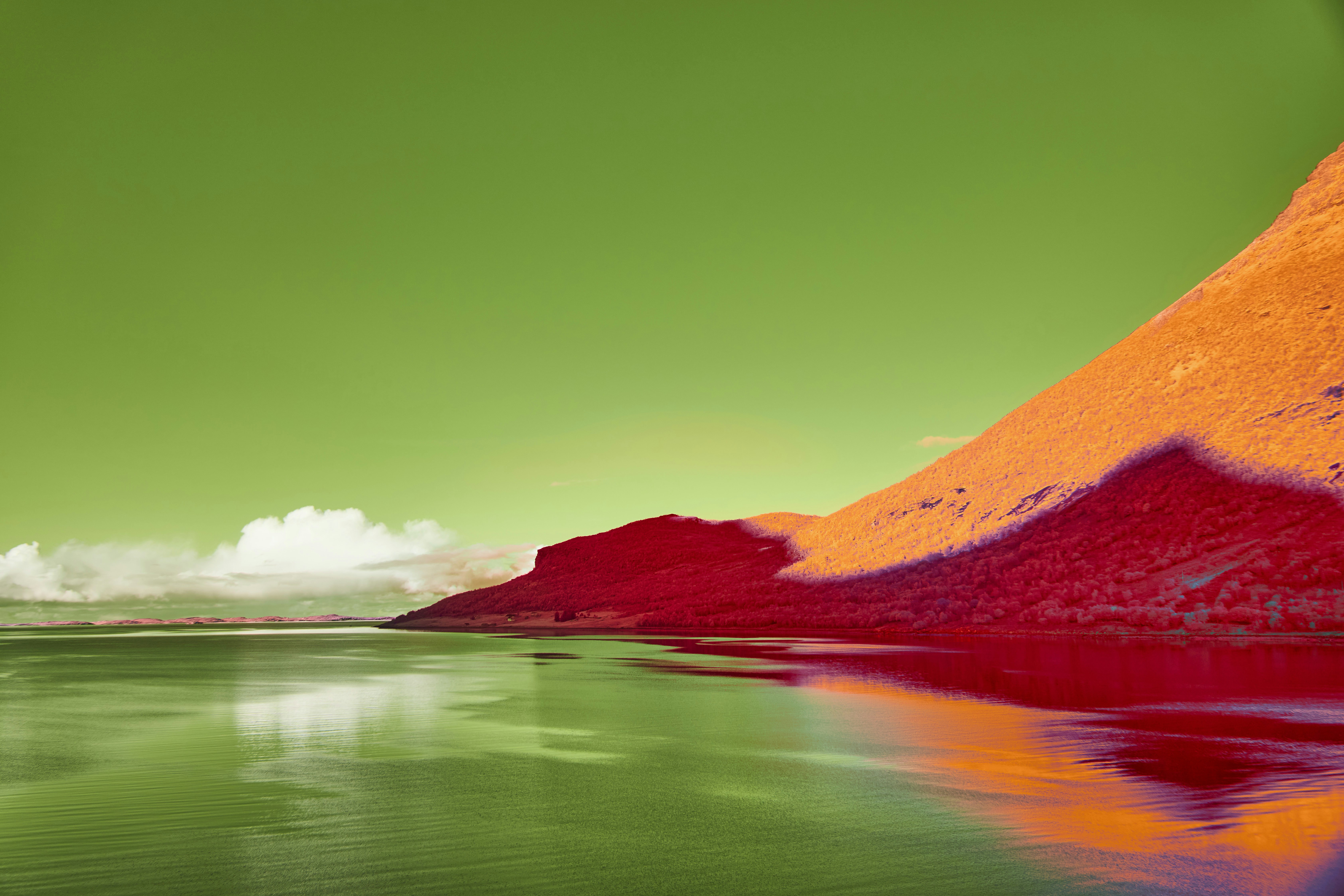 Photo by wolfgang_hasselmann