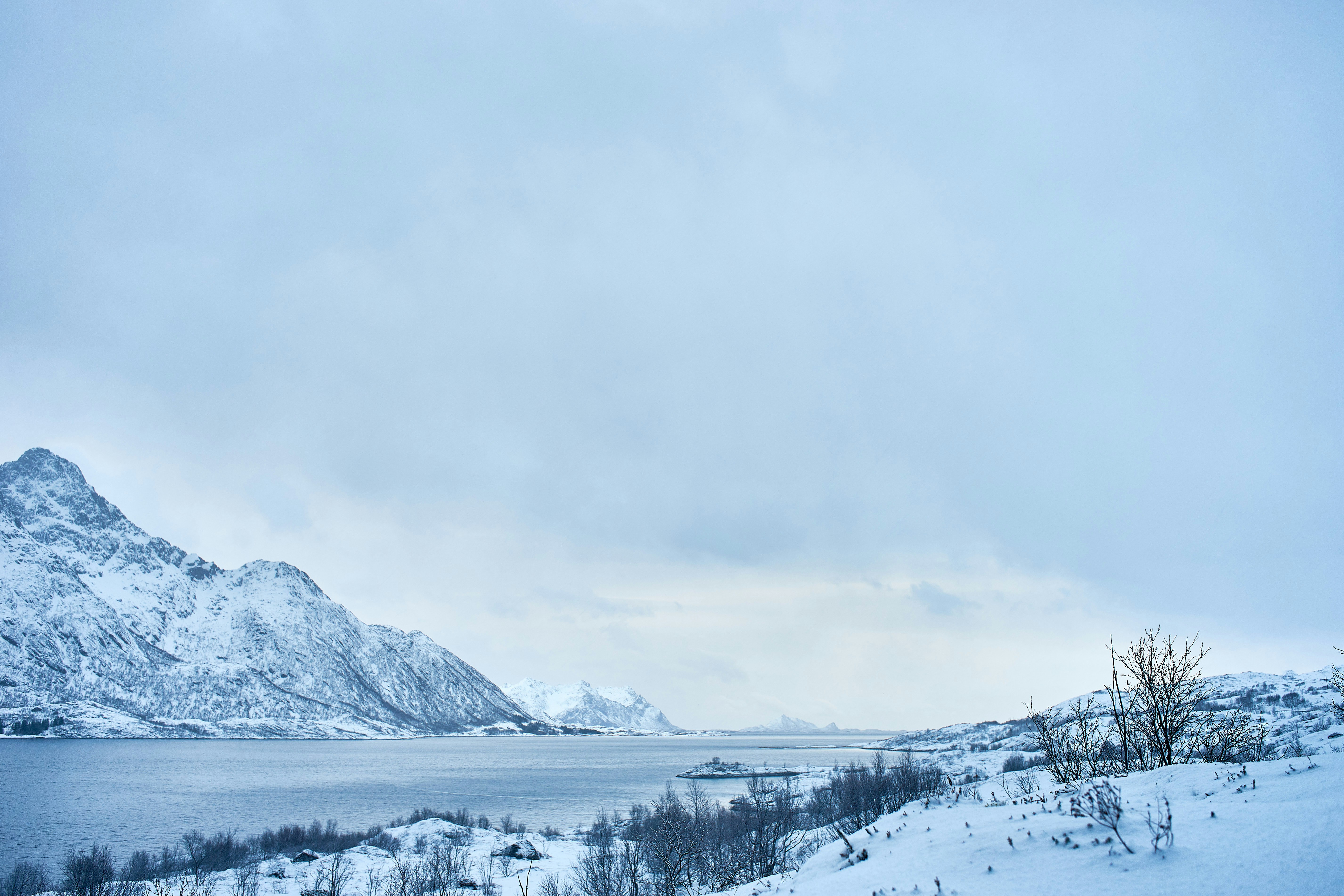 Photo by wolfgang_hasselmann