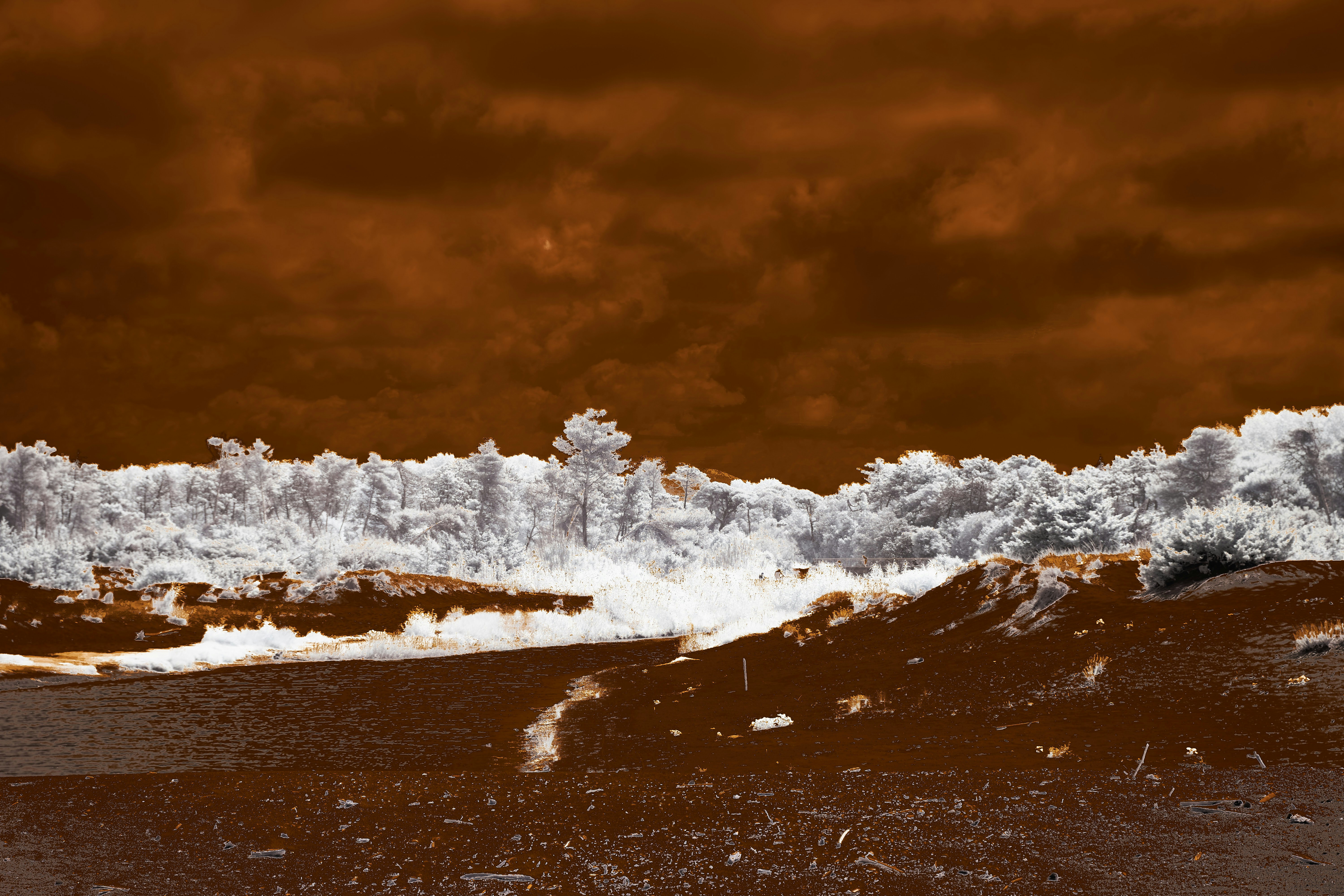 Photo by wolfgang_hasselmann