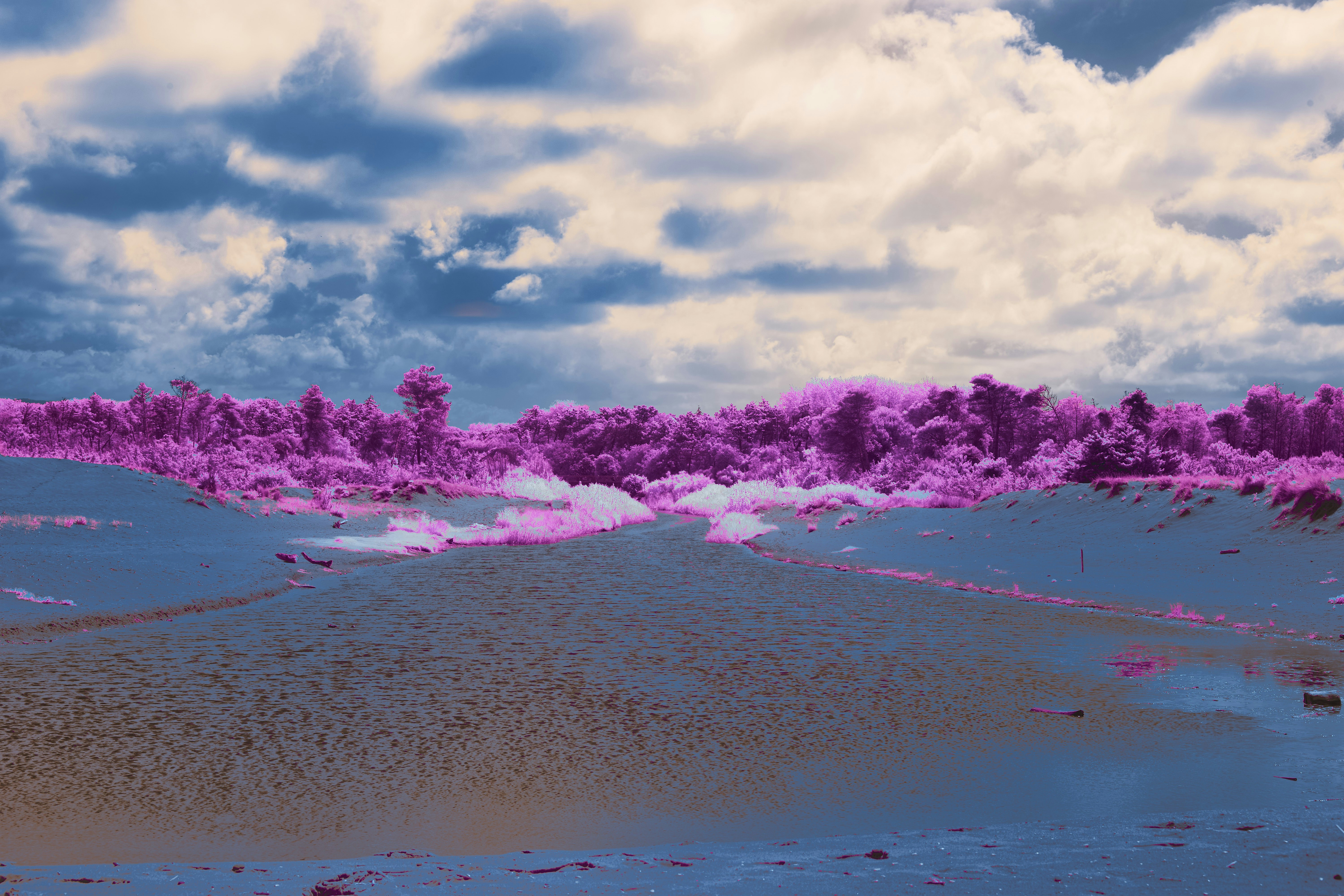 Photo by wolfgang_hasselmann