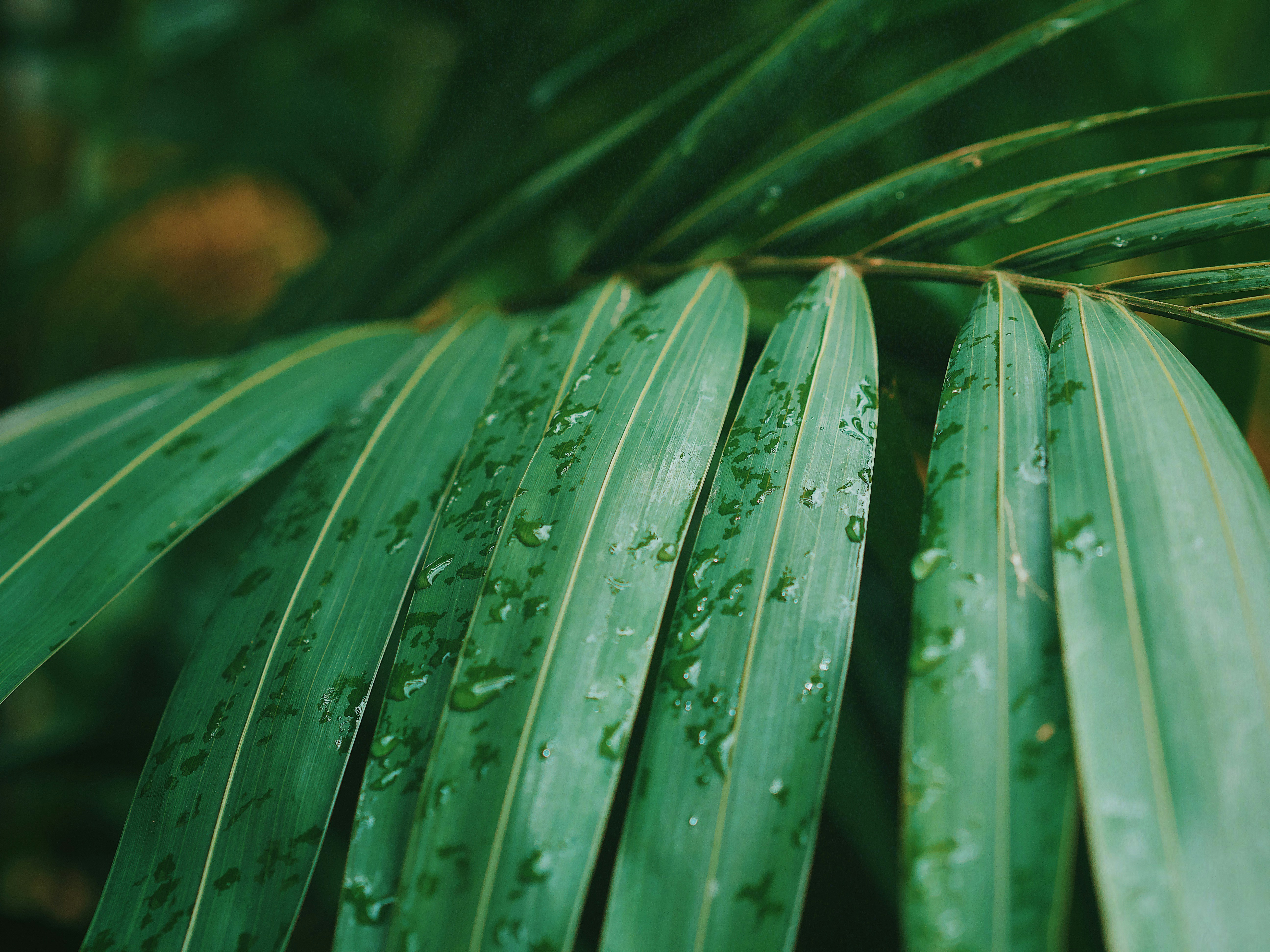 Photo by elisaselmaa