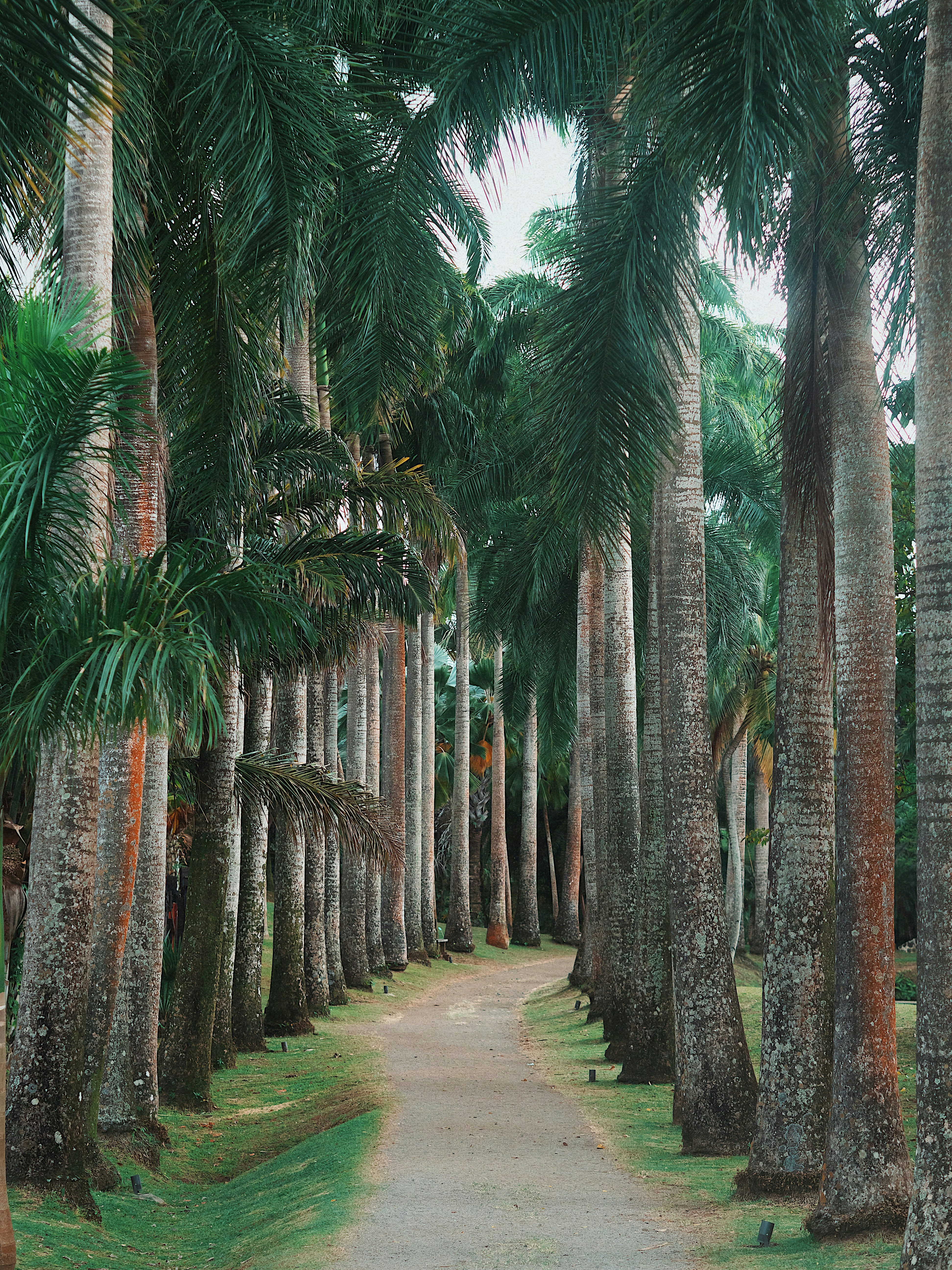 Photo by elisaselmaa