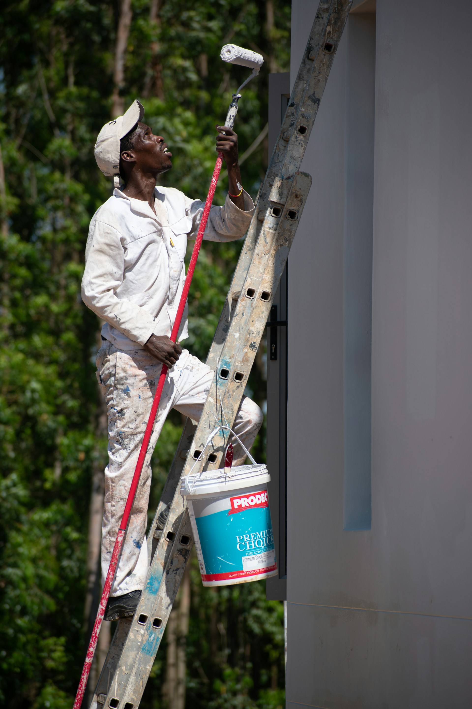 A painter diligently paints a wall on a ladder.