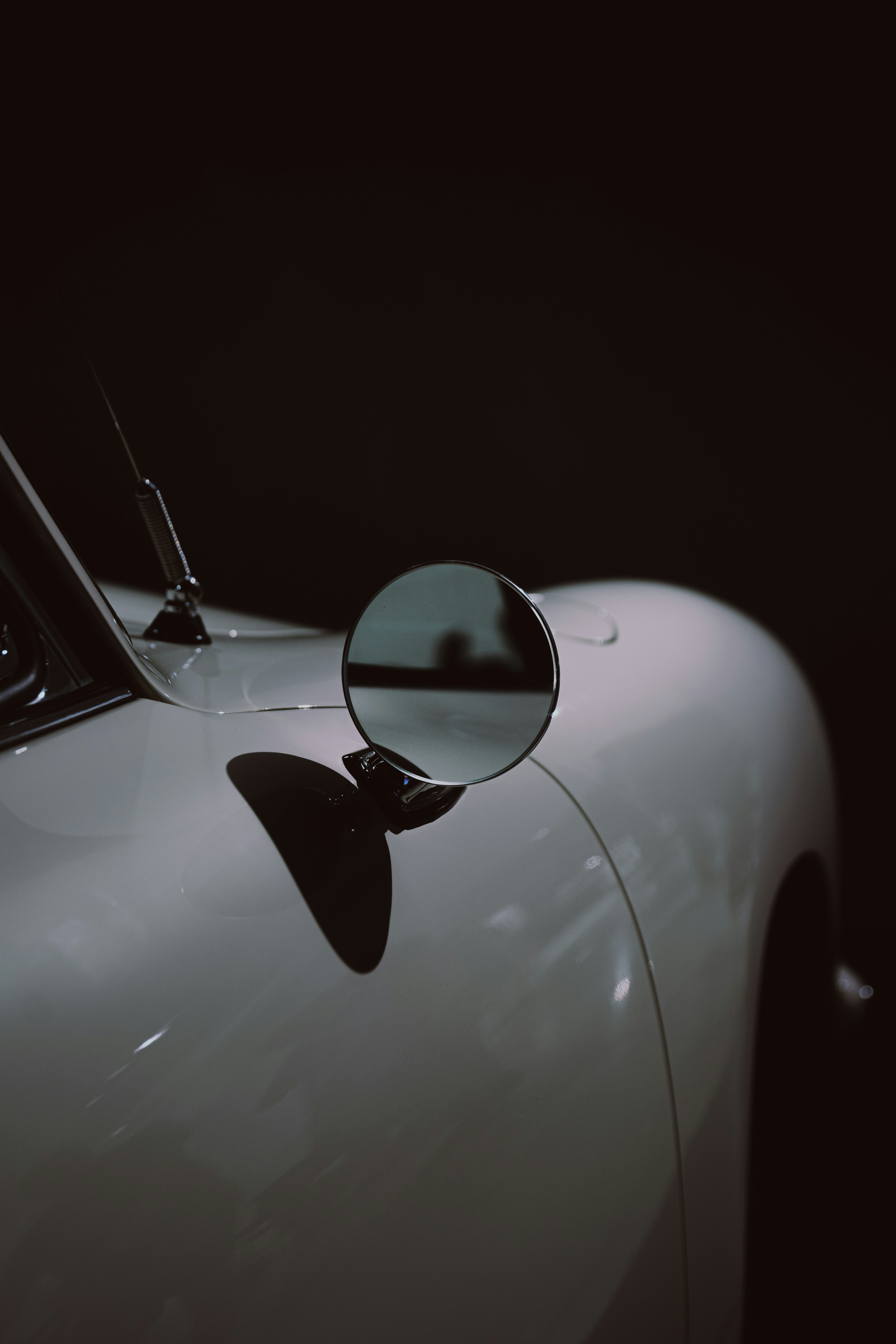 Photo by infernisvox