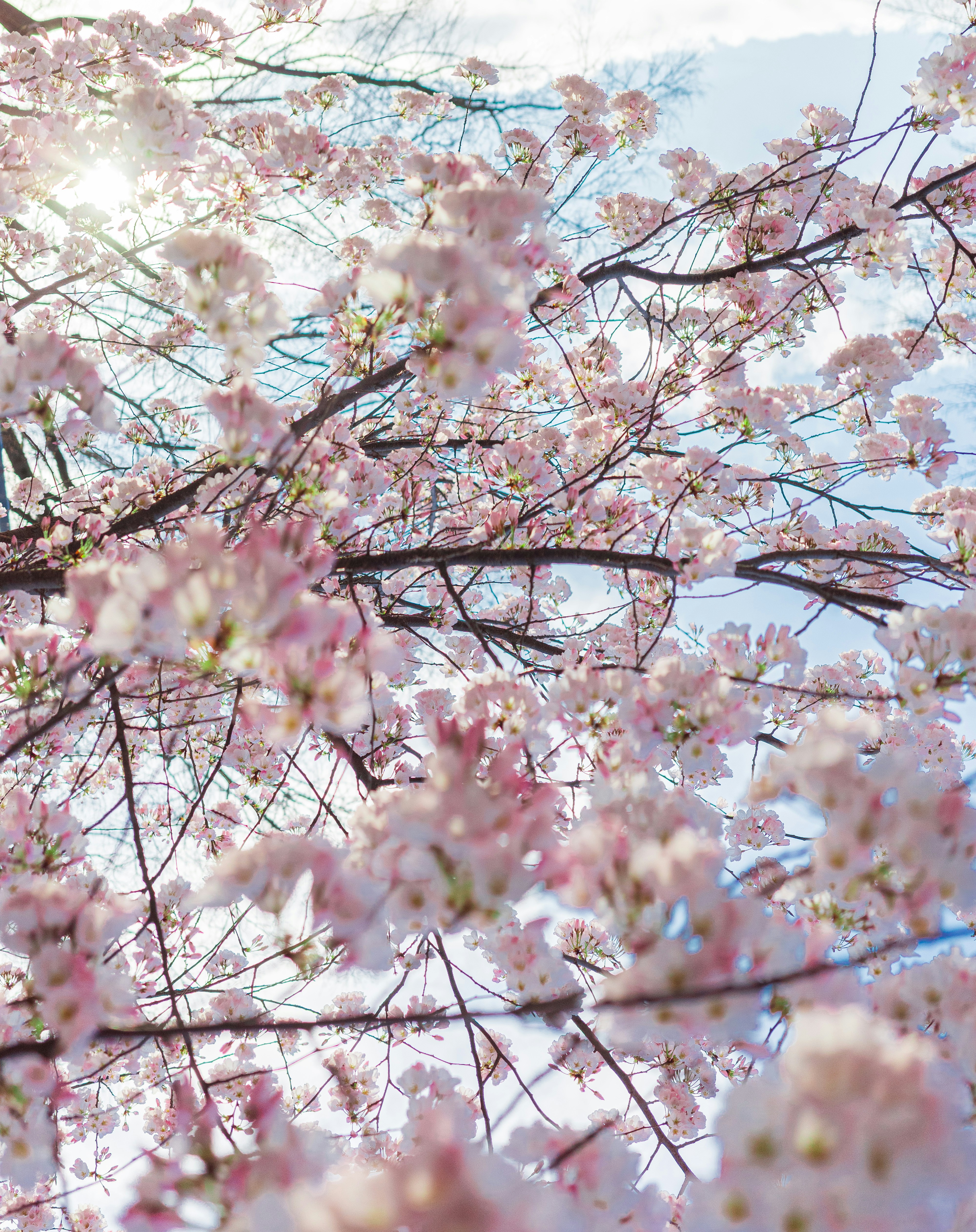 Photo by nhuenerfuerst