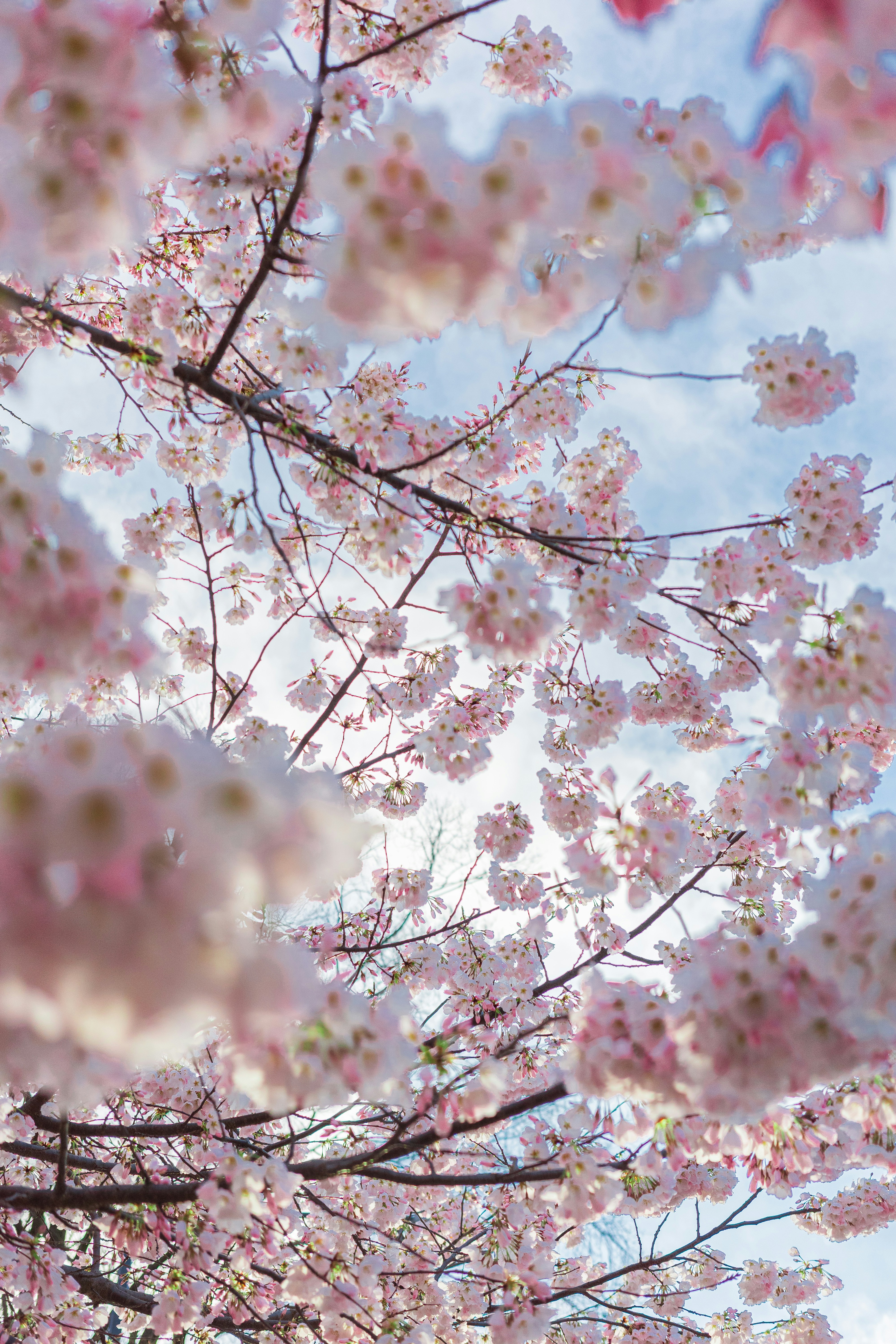 Photo by nhuenerfuerst