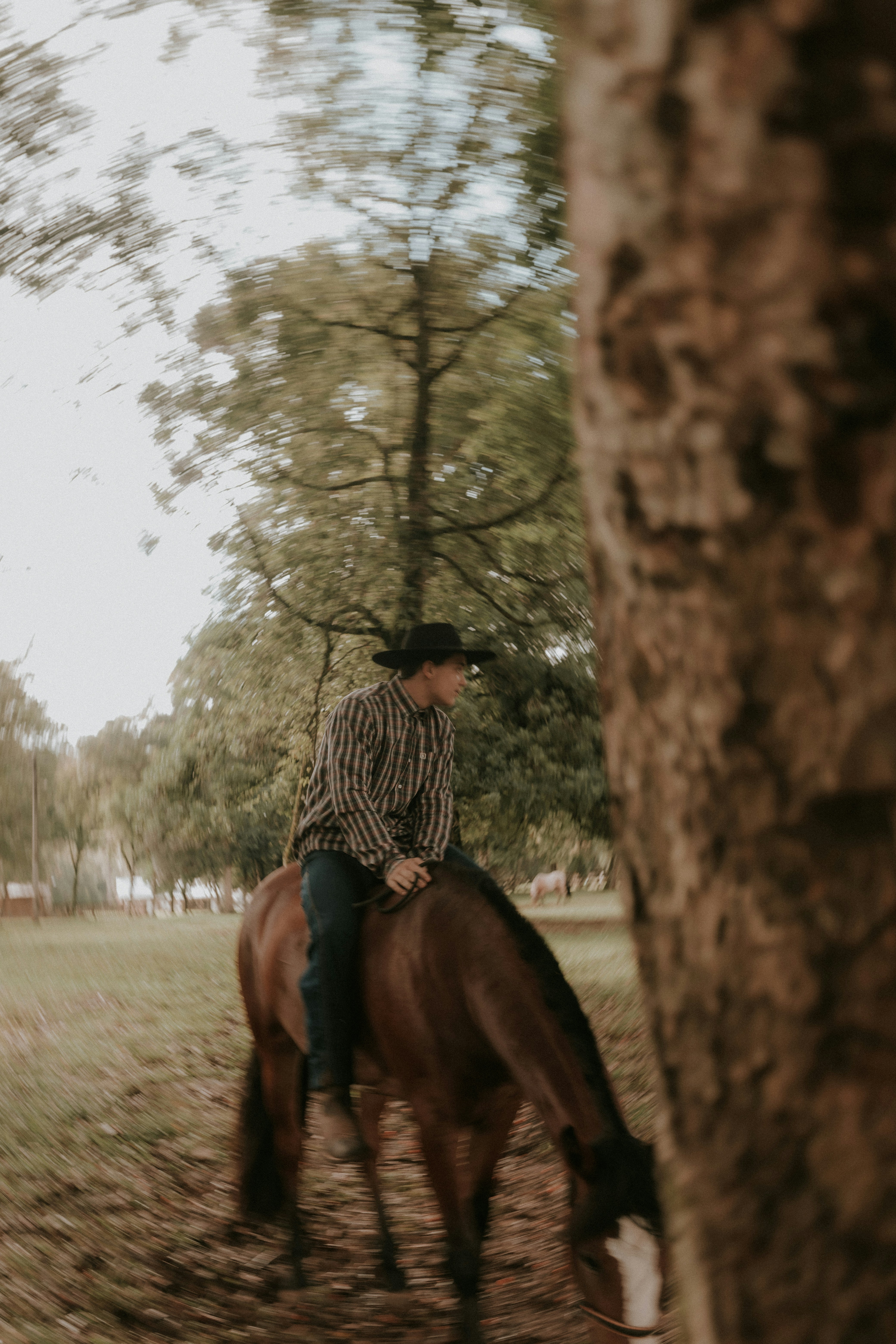 Photo by alexandermassph