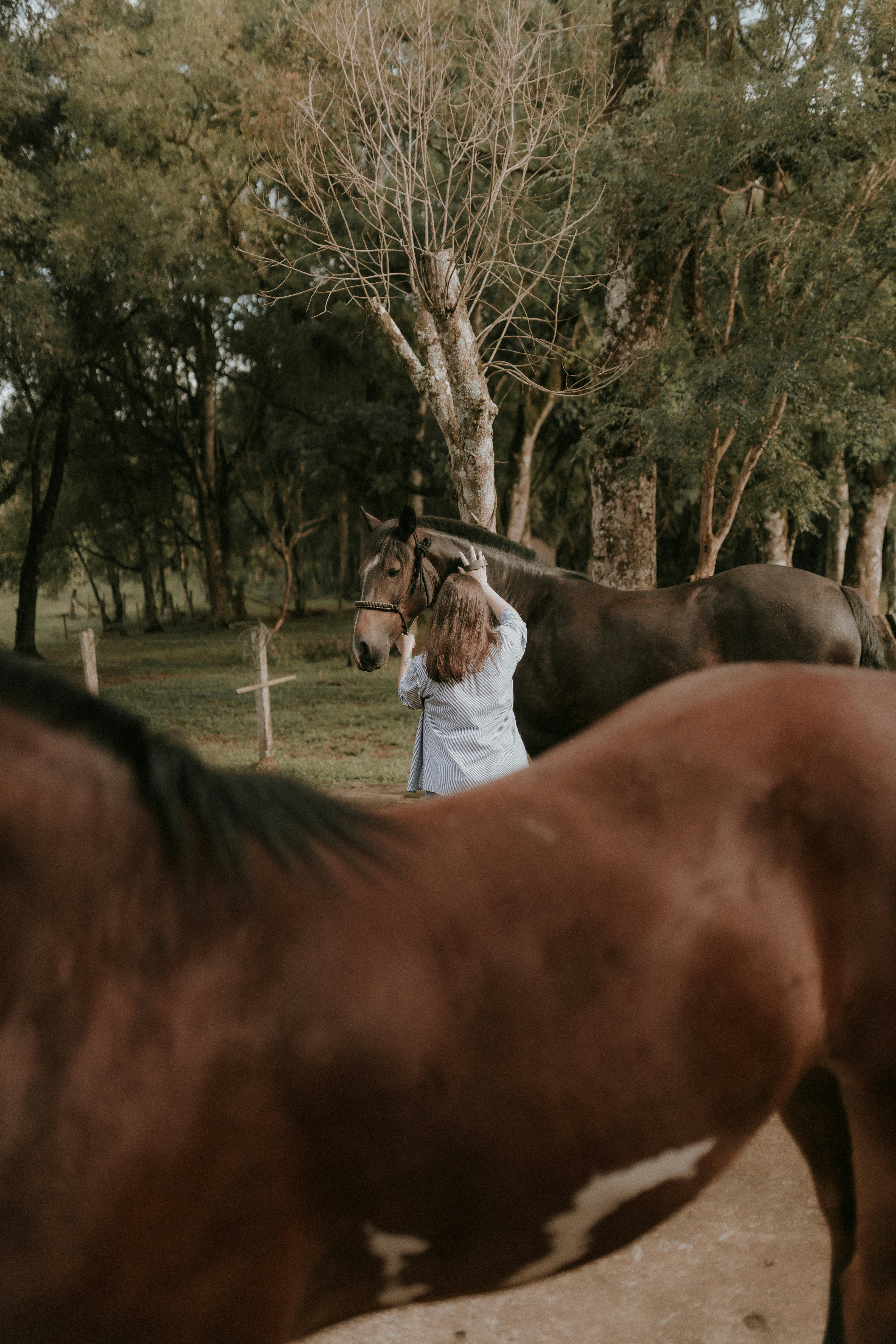 unnamed image