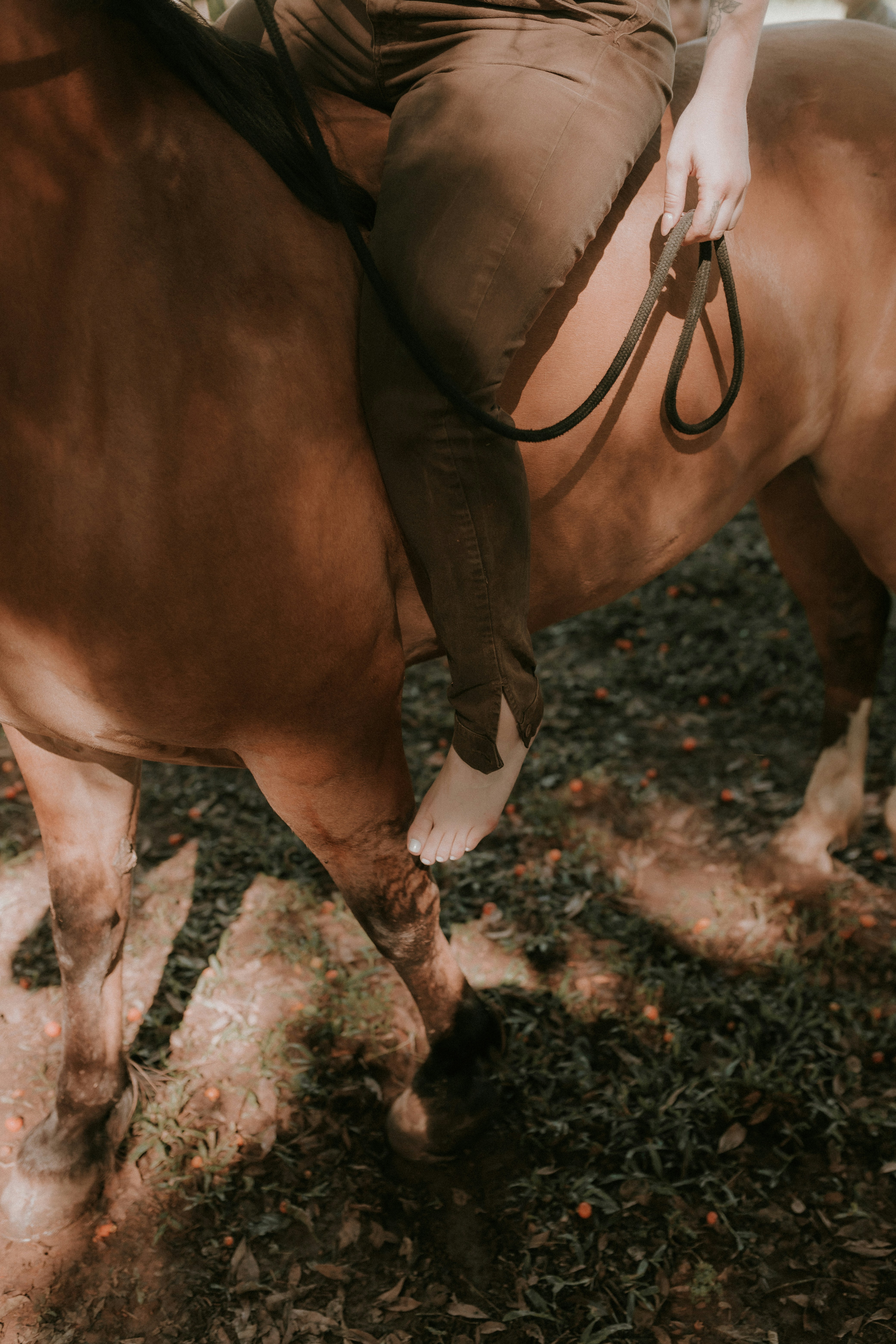 Photo by alexandermassph