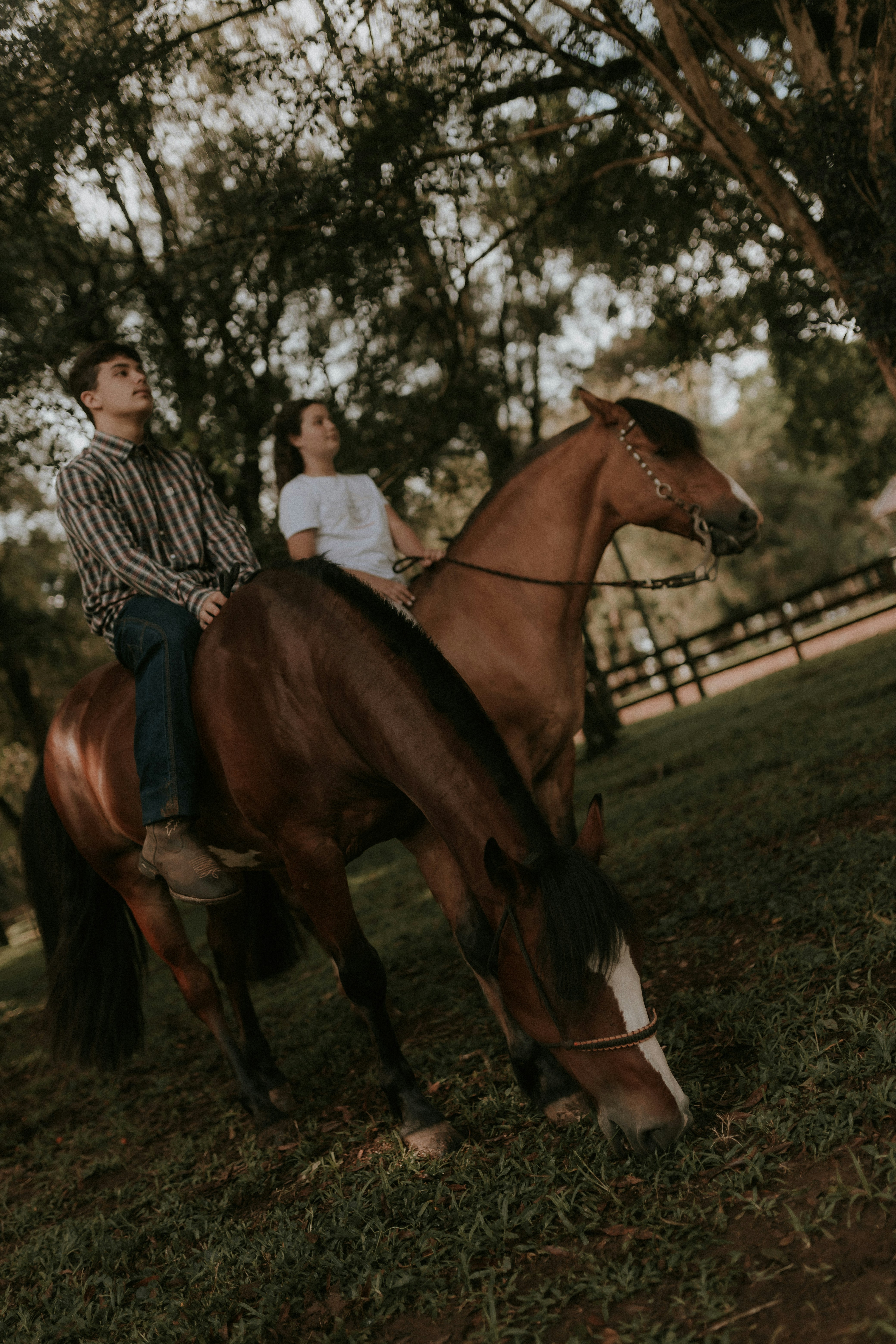 Photo by alexandermassph