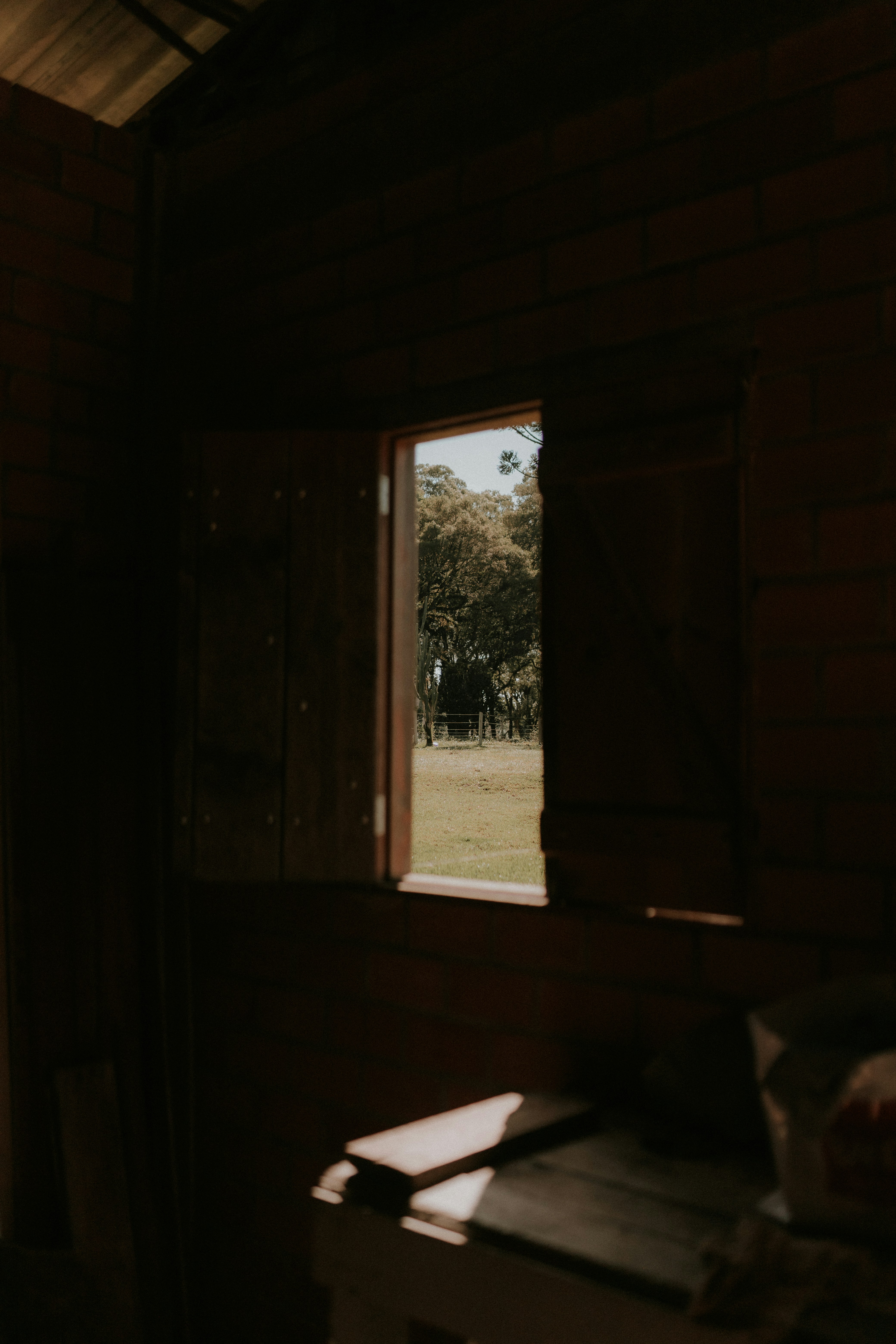 Photo by alexandermassph