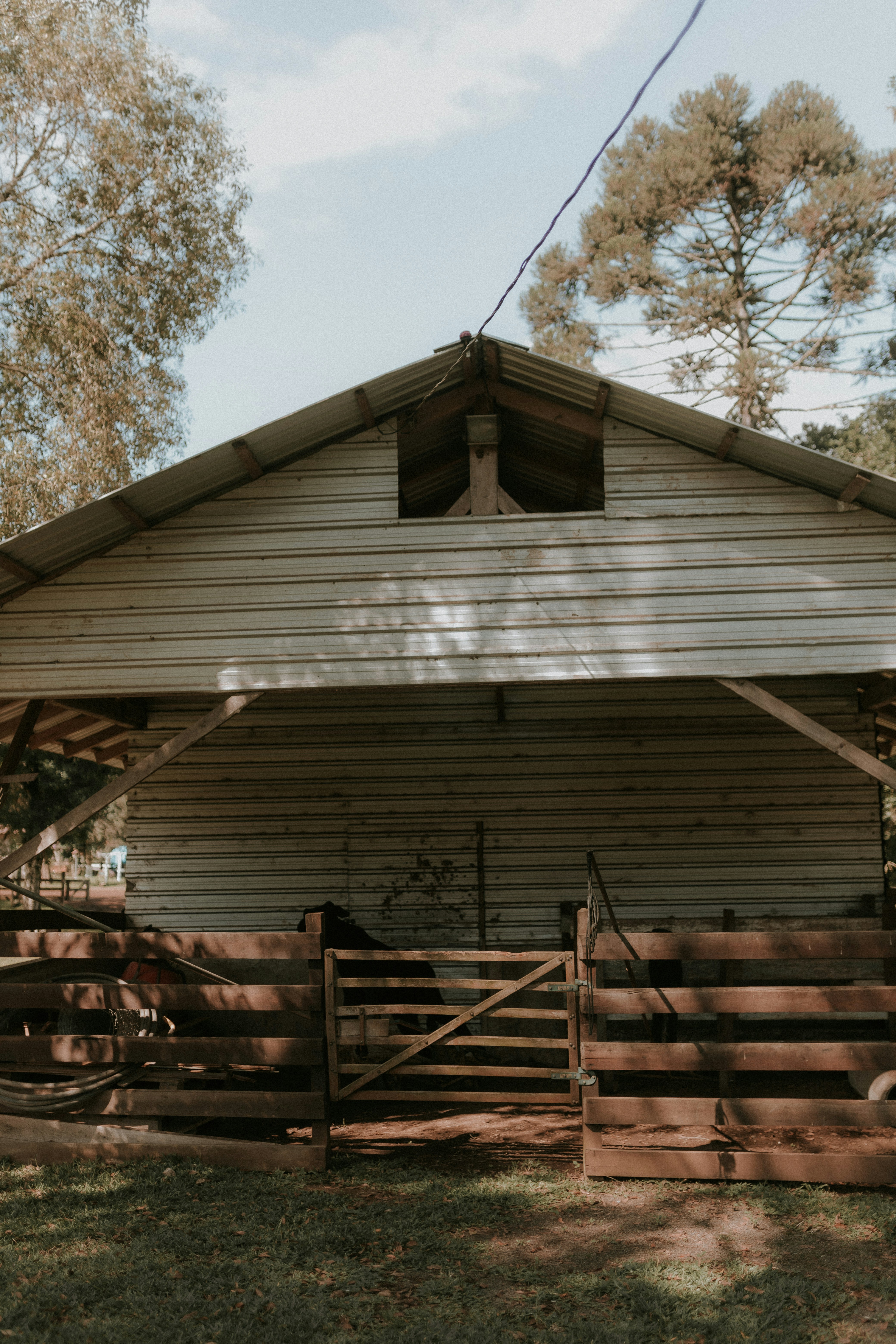 Photo by alexandermassph