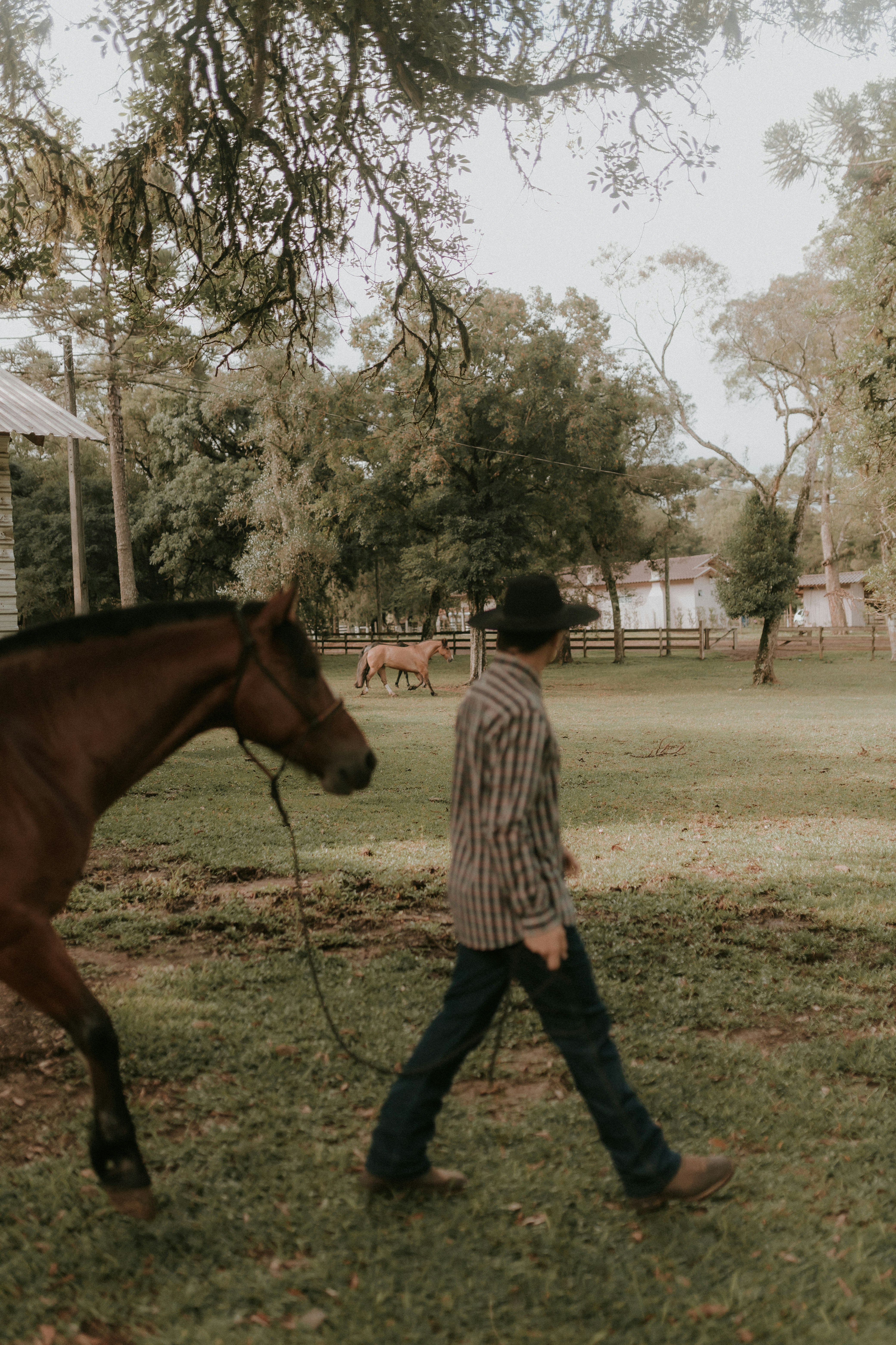 Photo by alexandermassph