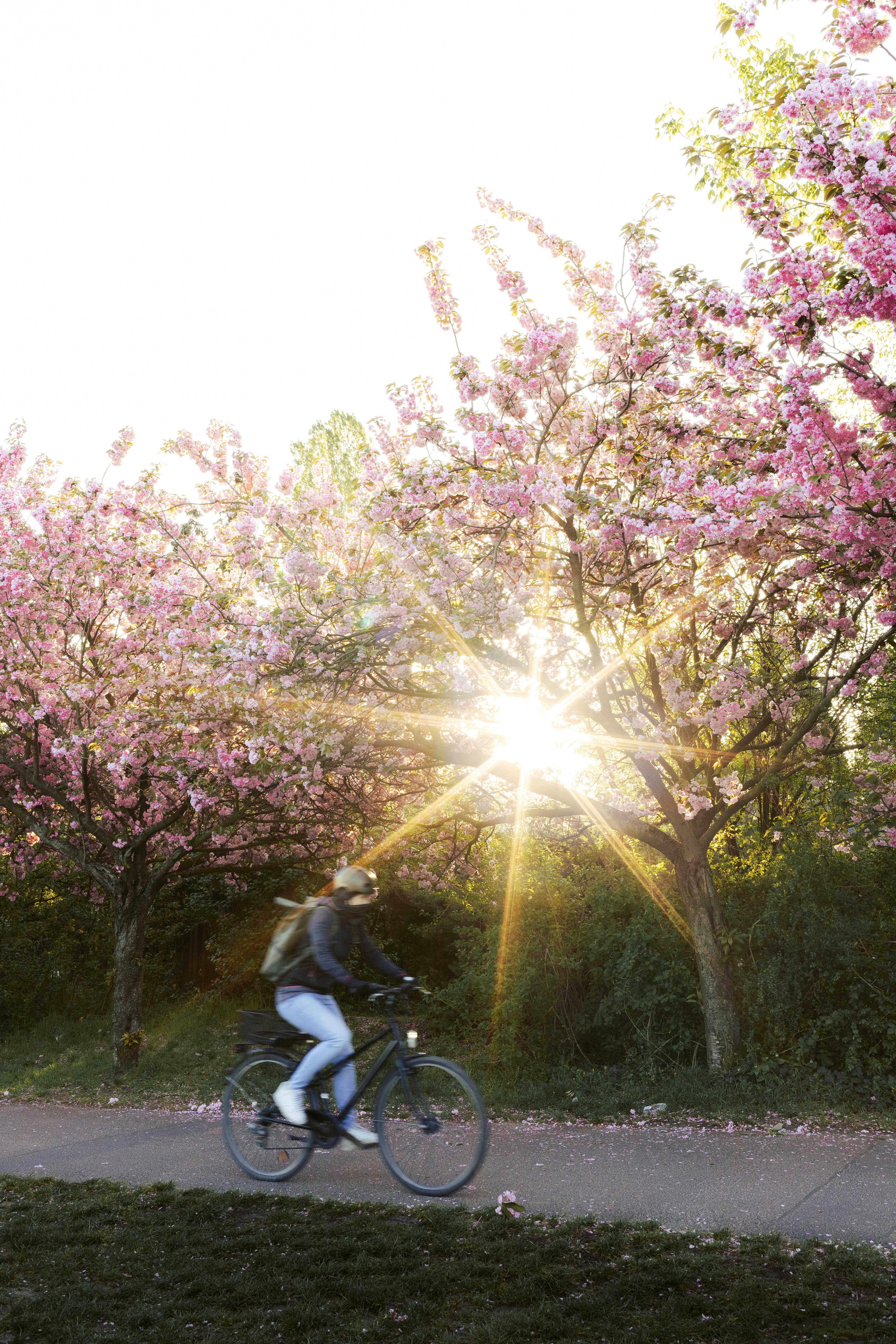 Photo by nikita_pishchugin