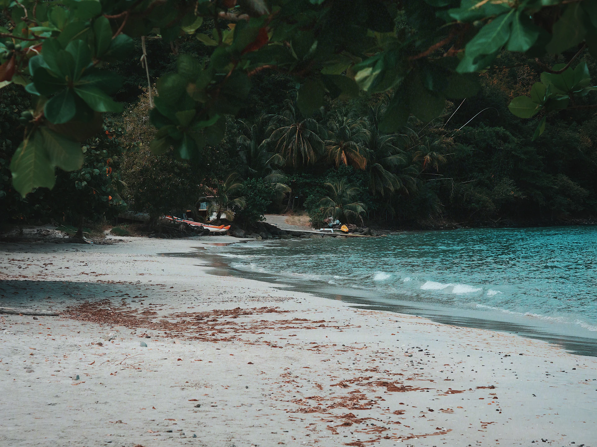 A serene beach surrounded by lush greenery.