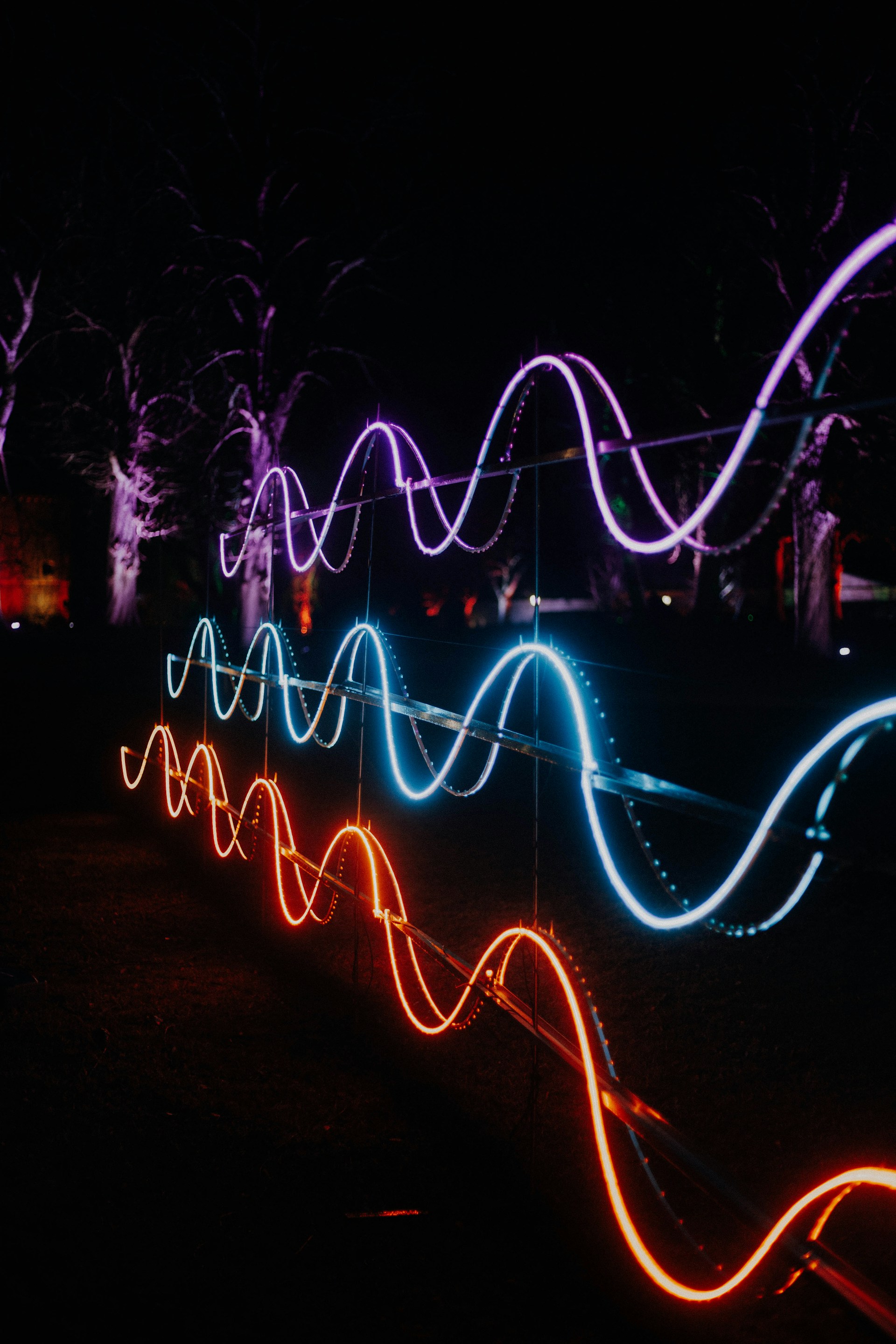 Neon lights illuminate wave-like shapes at night.