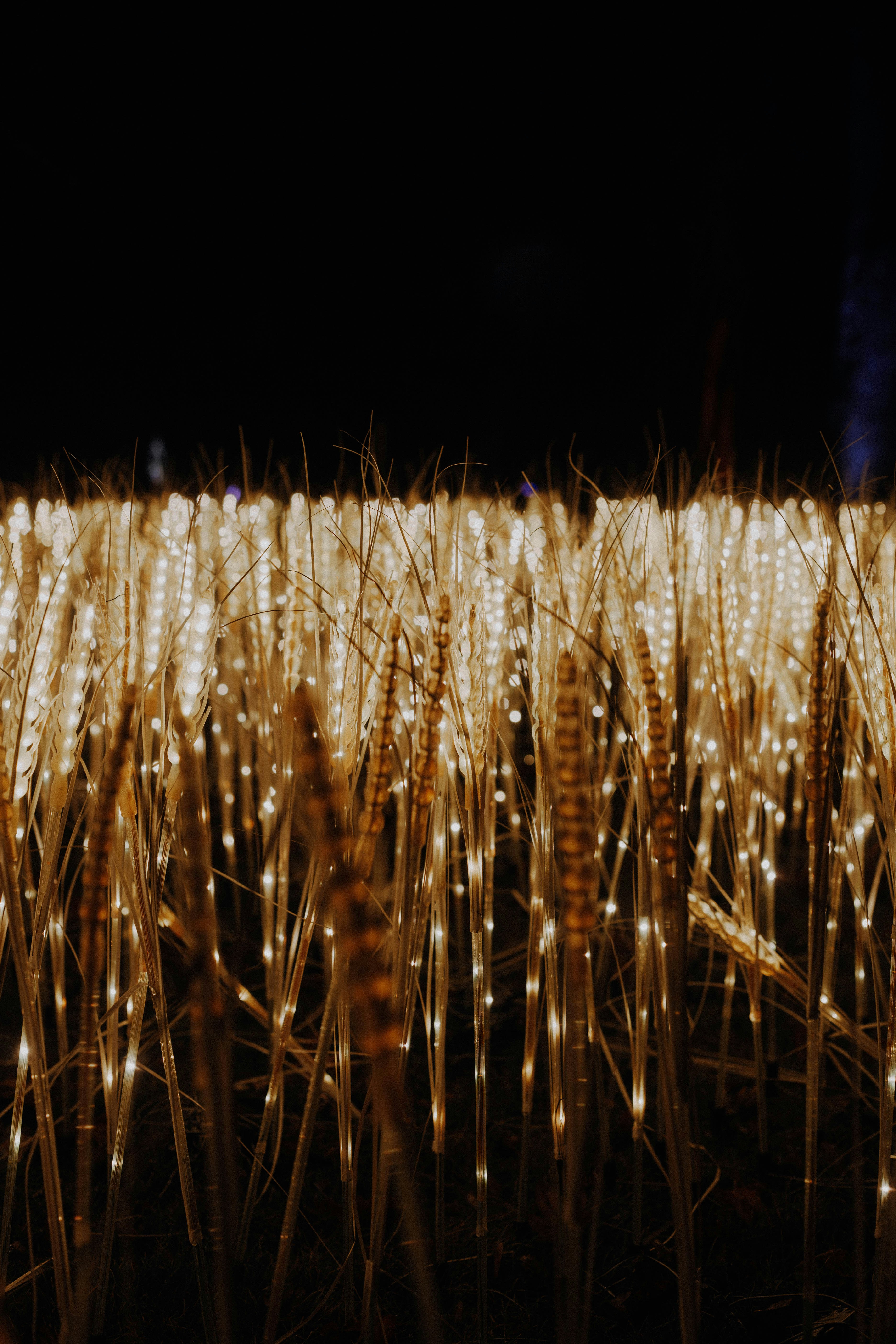 Night-Install Masterclass: Surface Prep and Tape Systems That Last in 2026