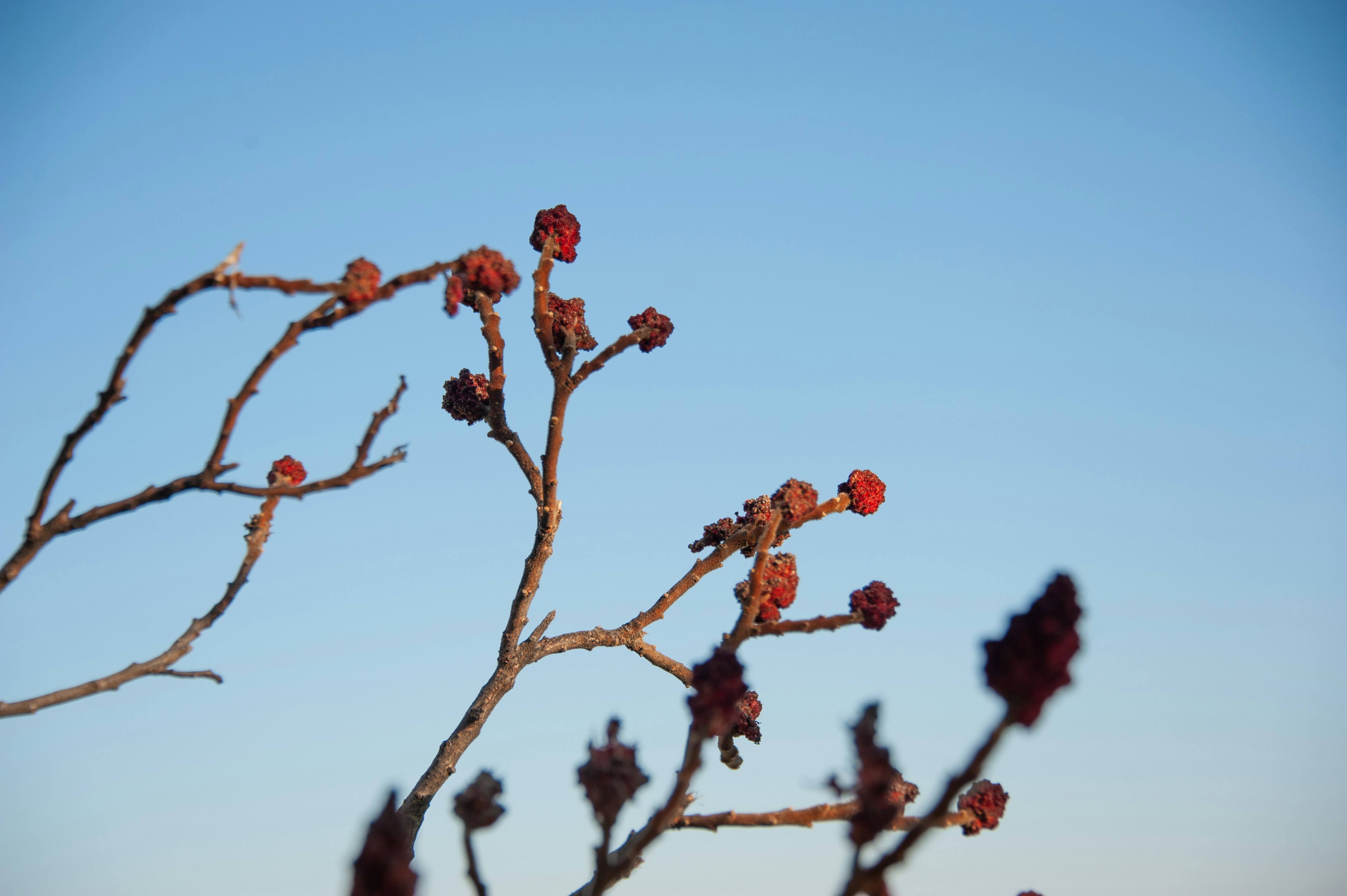 Photo by rrricharddd