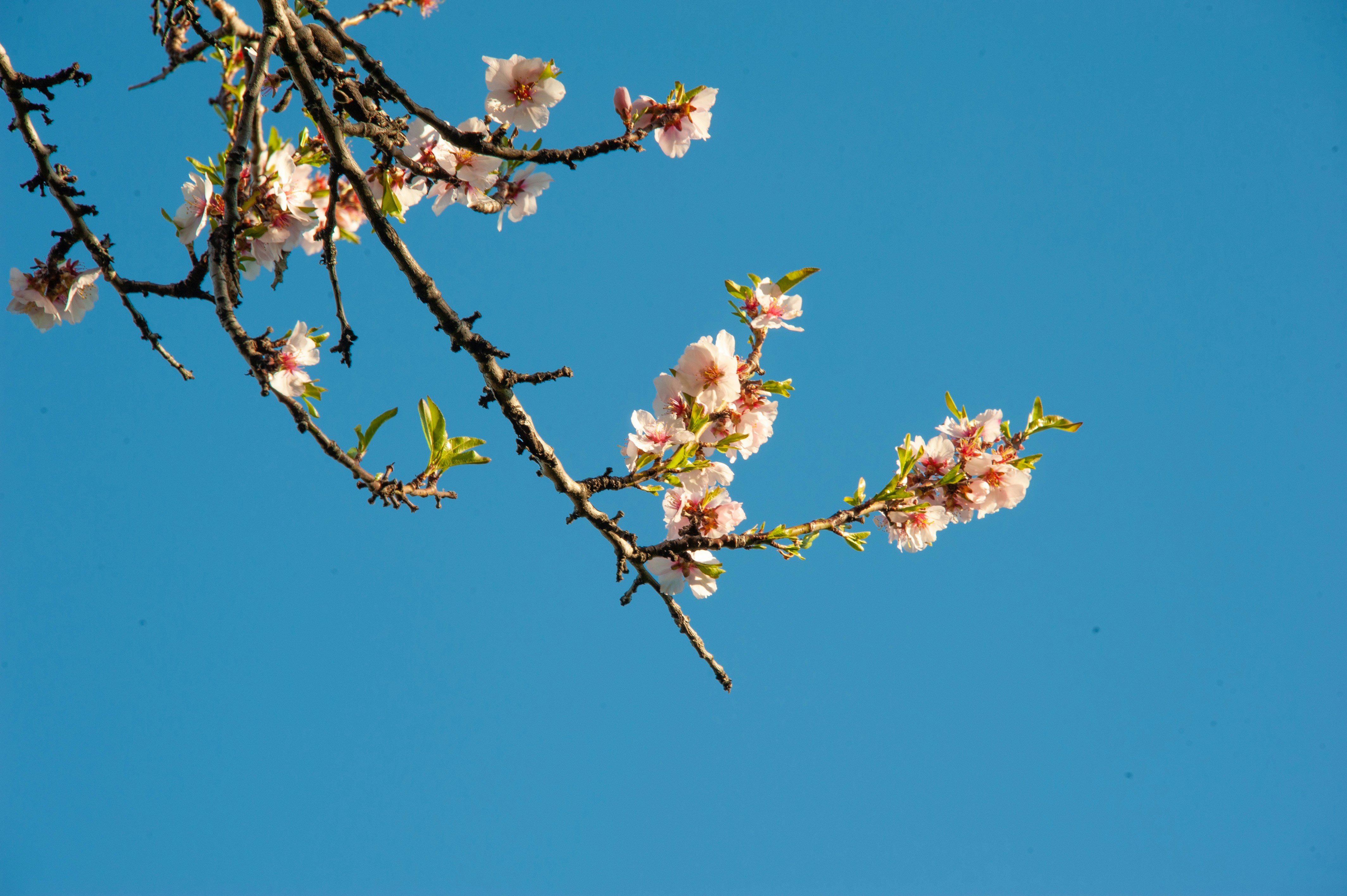 Photo by rrricharddd