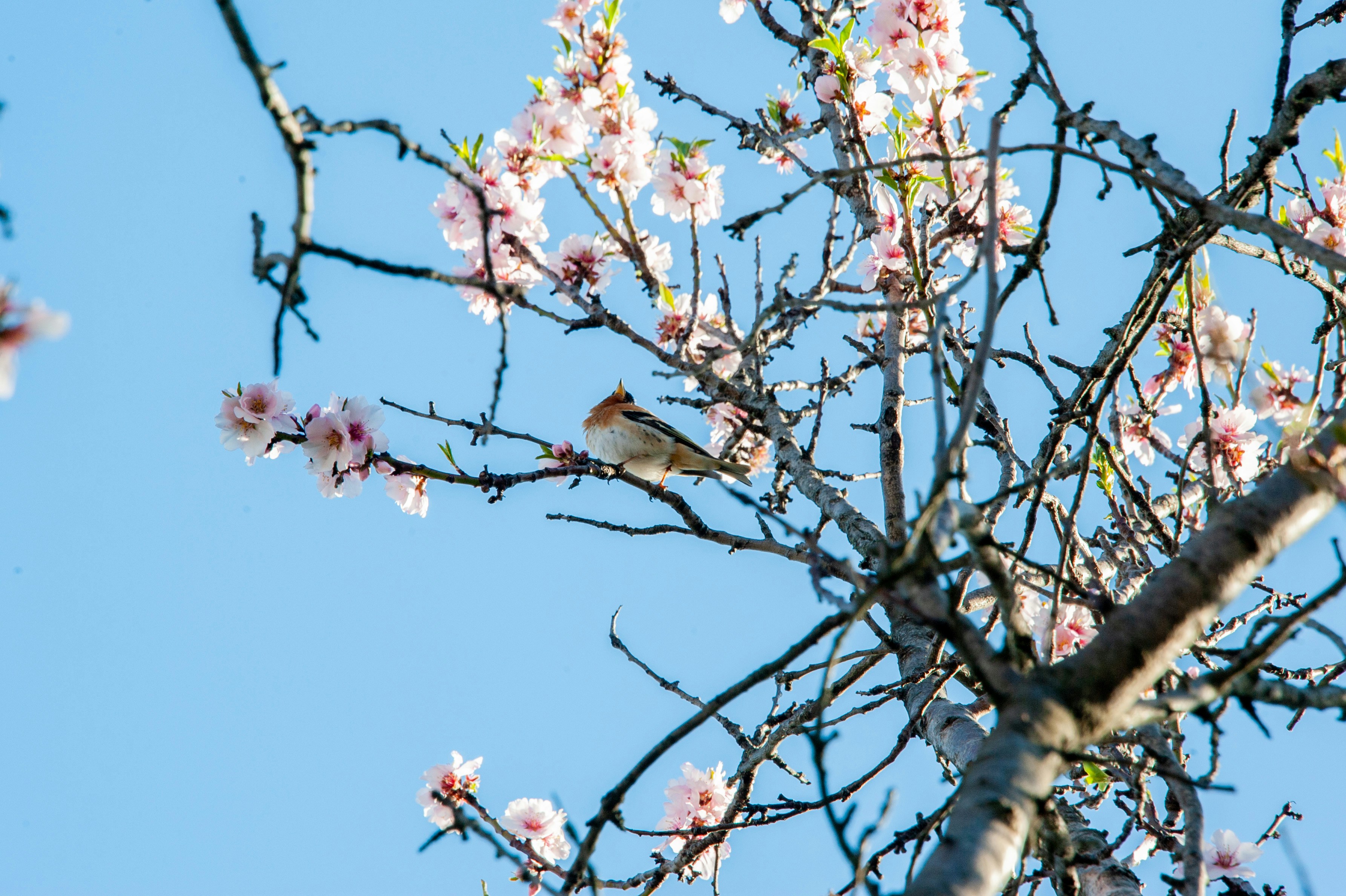 Photo by rrricharddd