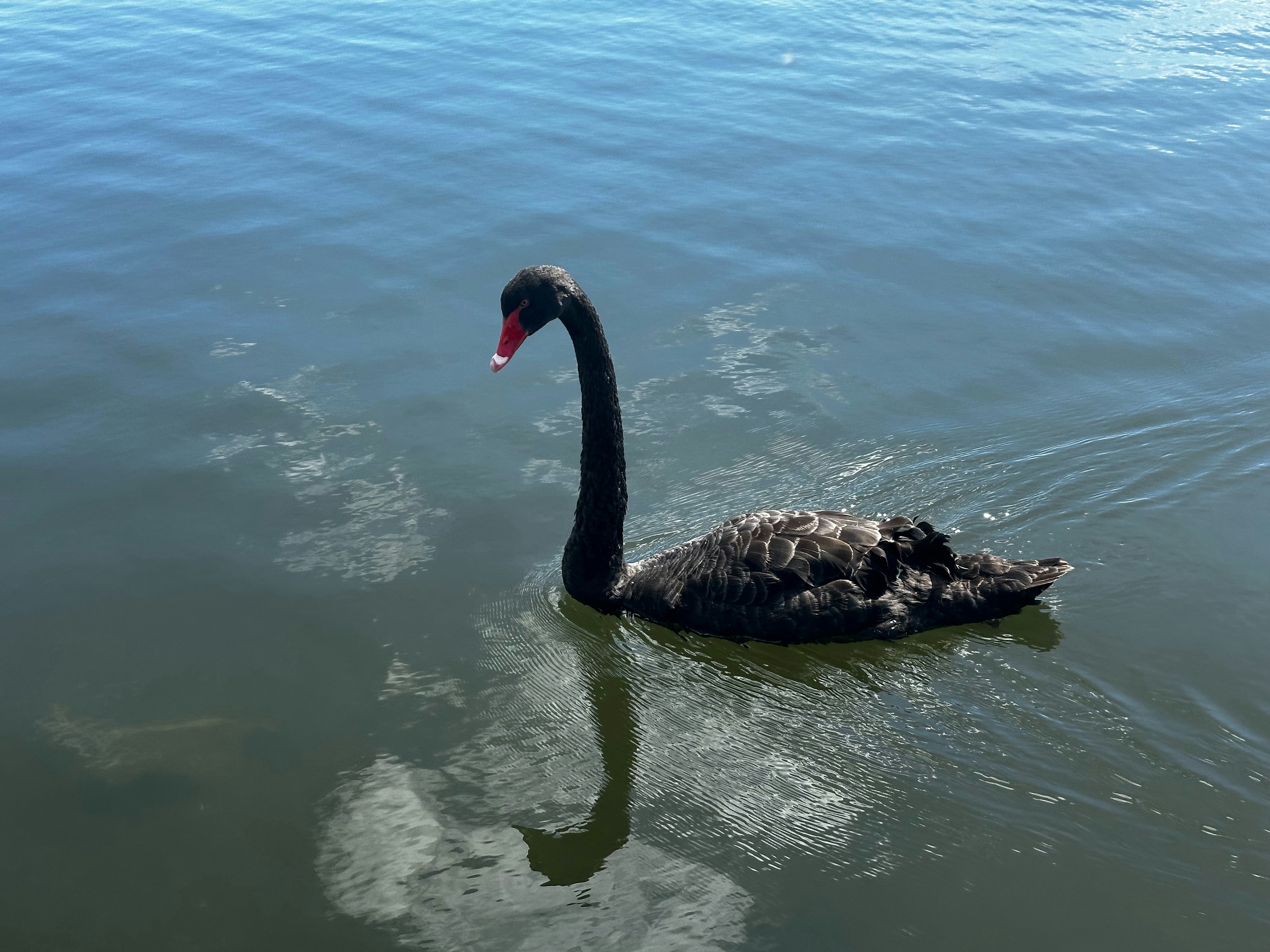 Photo by deveshthapa