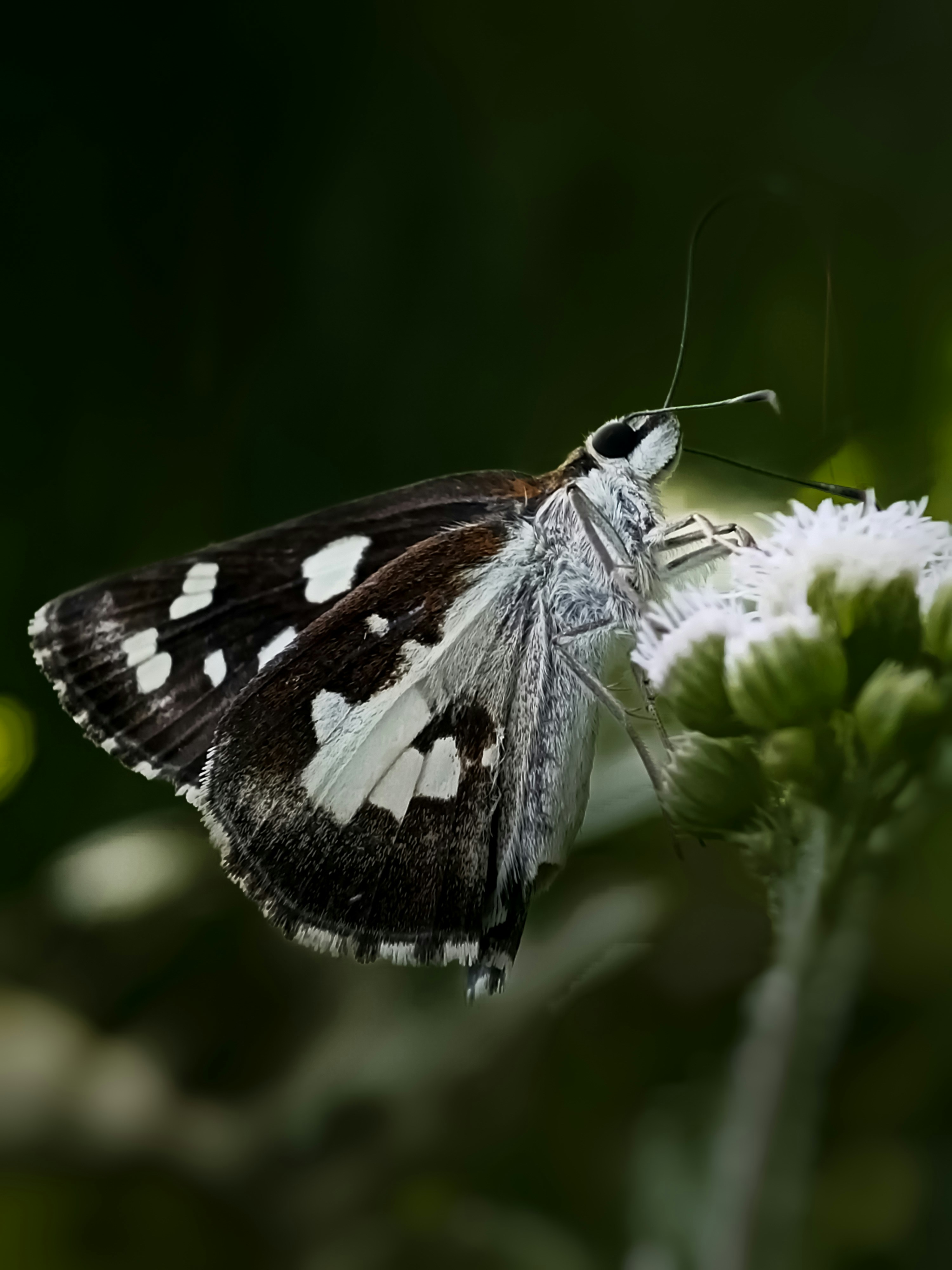 Photo by abdulrouf7463