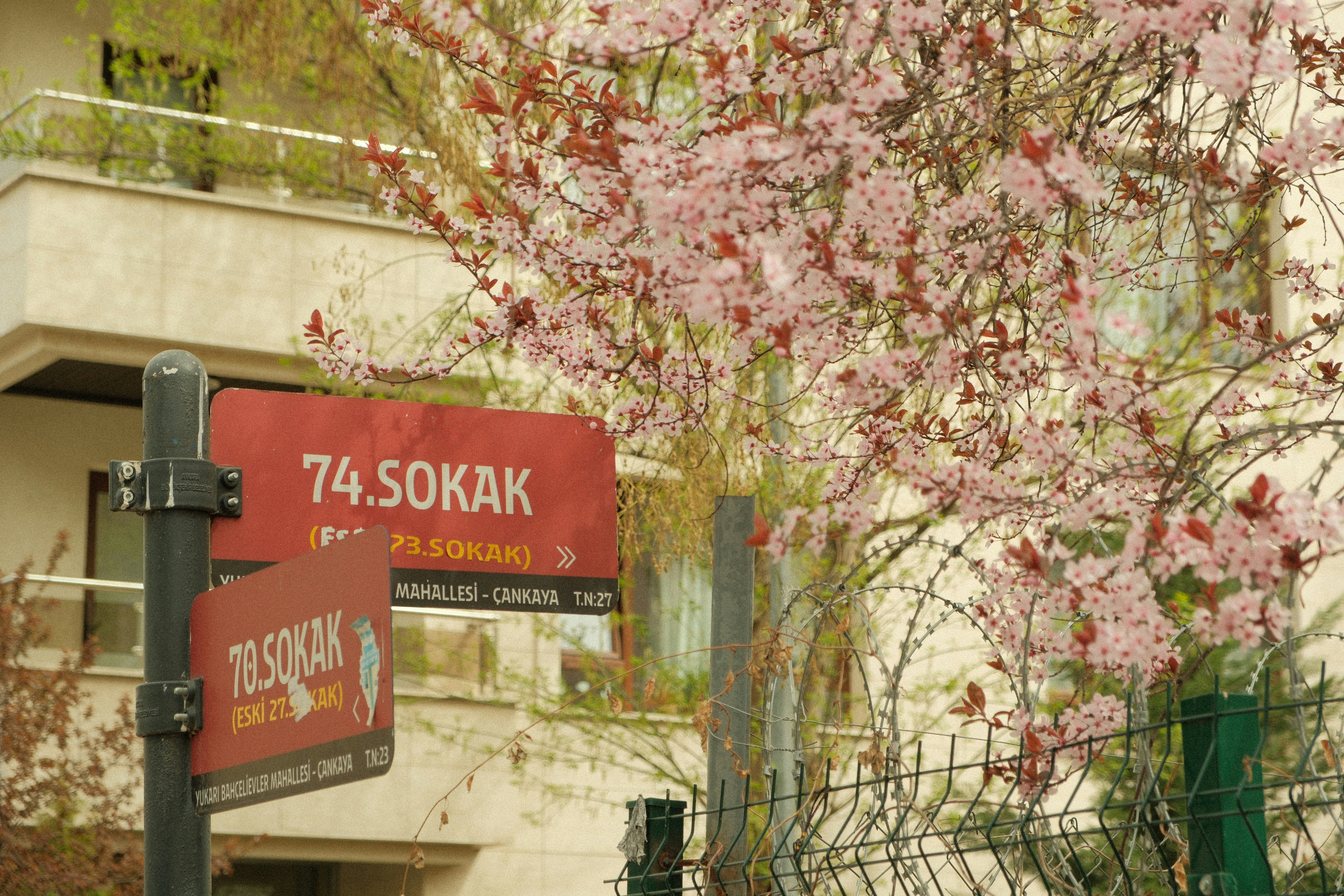 Solana’nın Veri Tabanı Modelinden Farkı: Geliştiricinin Gerçek Deneyimi