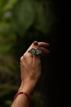 Papillon posé sur une main, faire confiance à la transformation , le dév perso doux et puissant