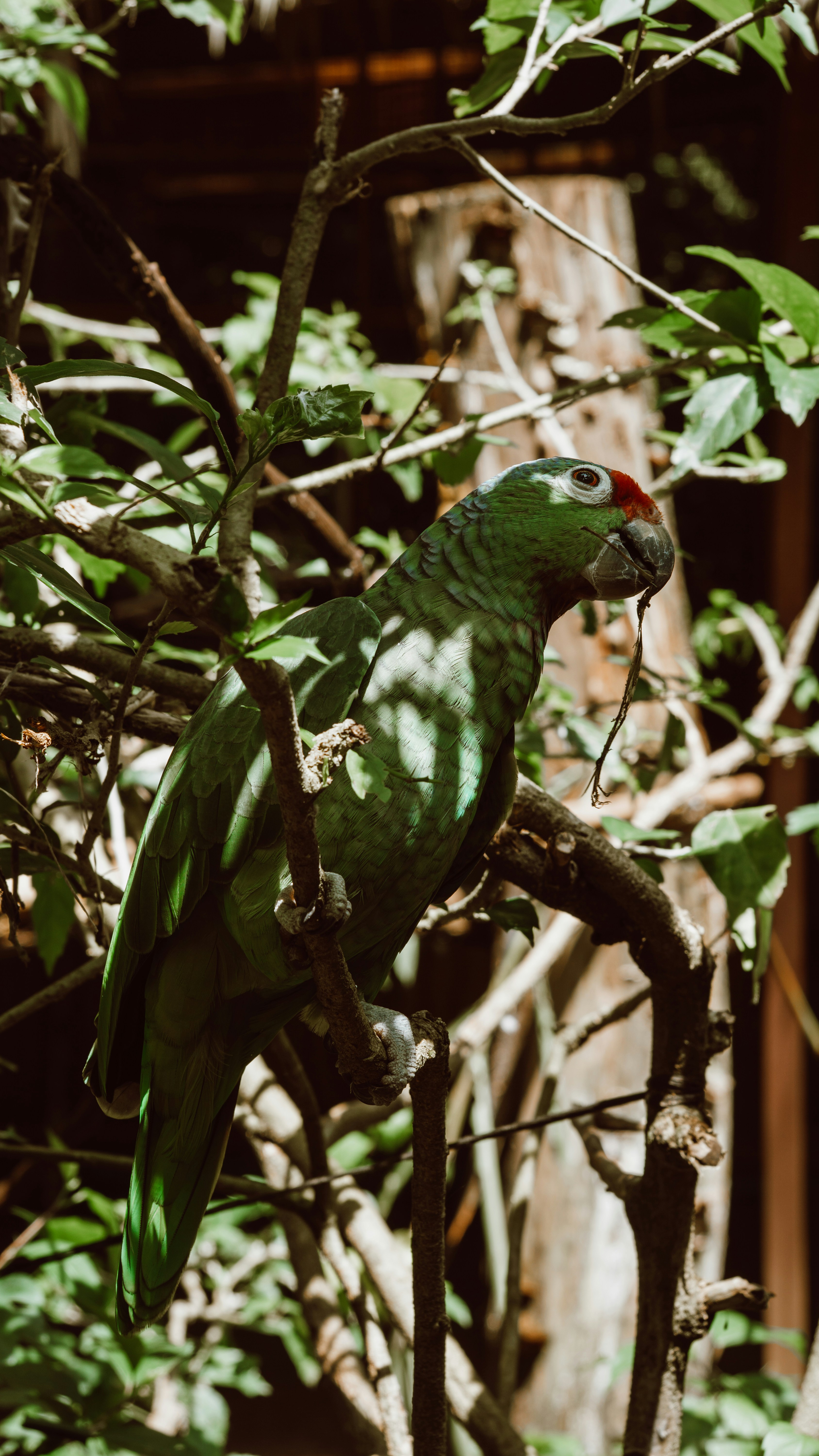 Photo by filizelaerts