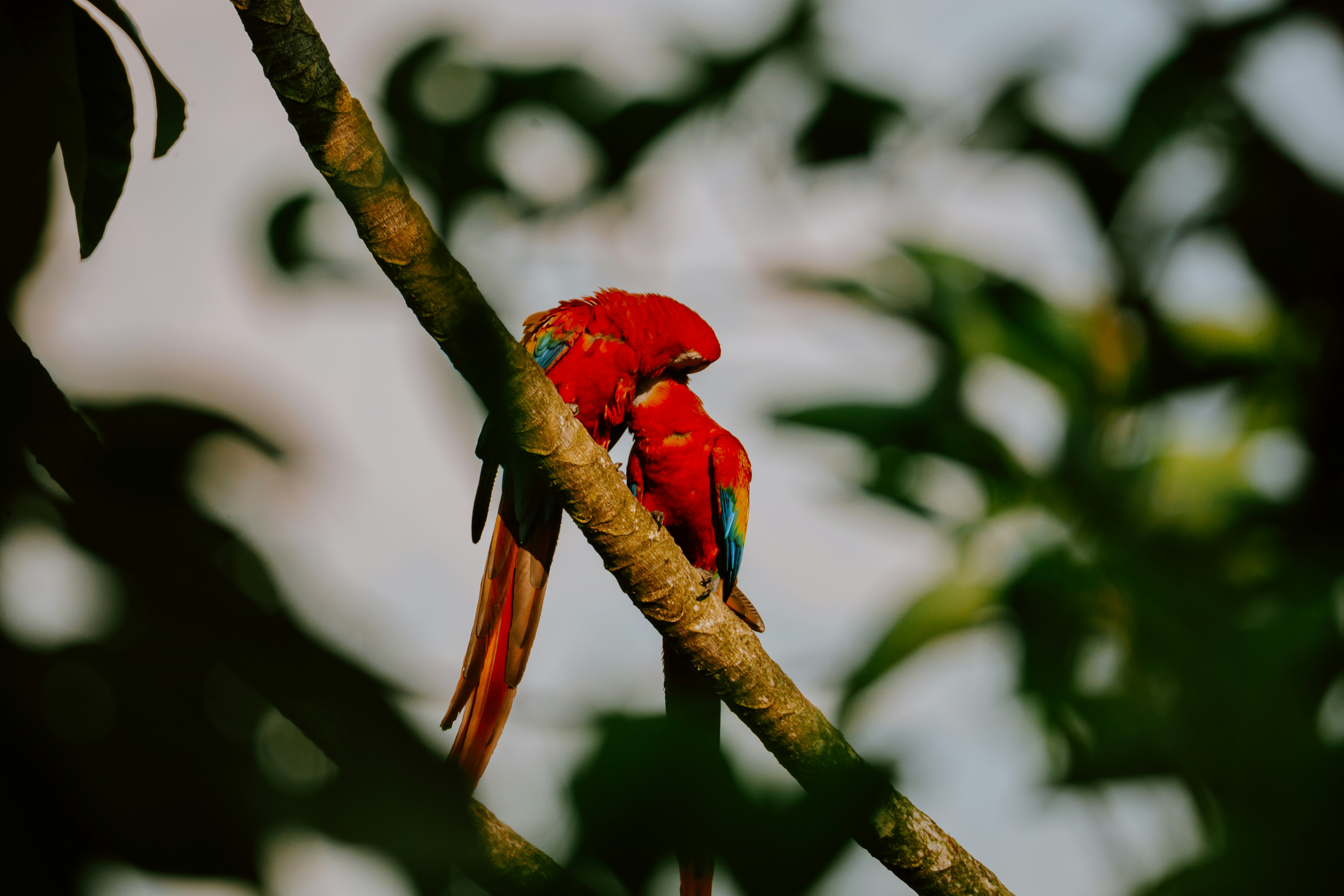 Photo by filizelaerts