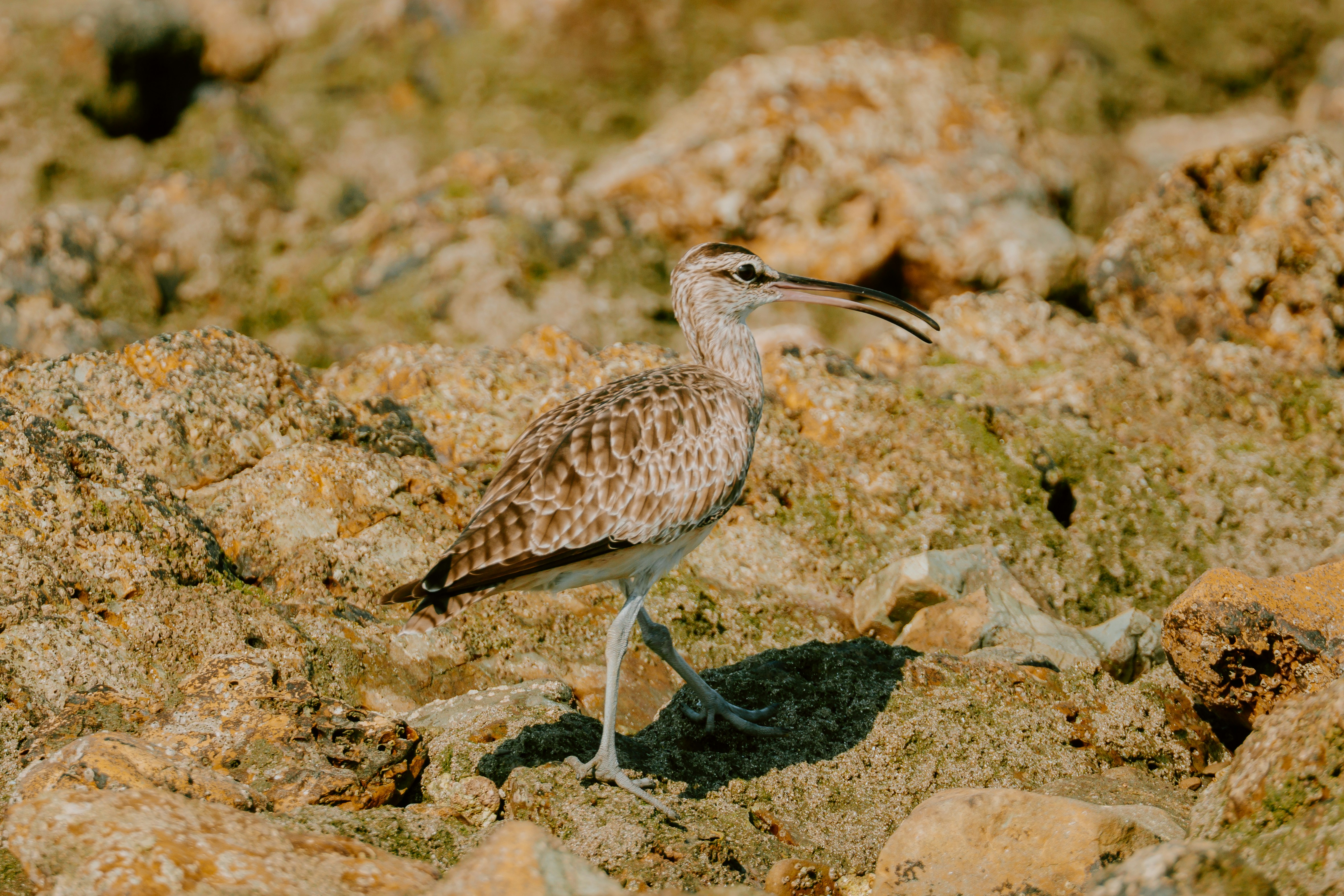 Photo by filizelaerts