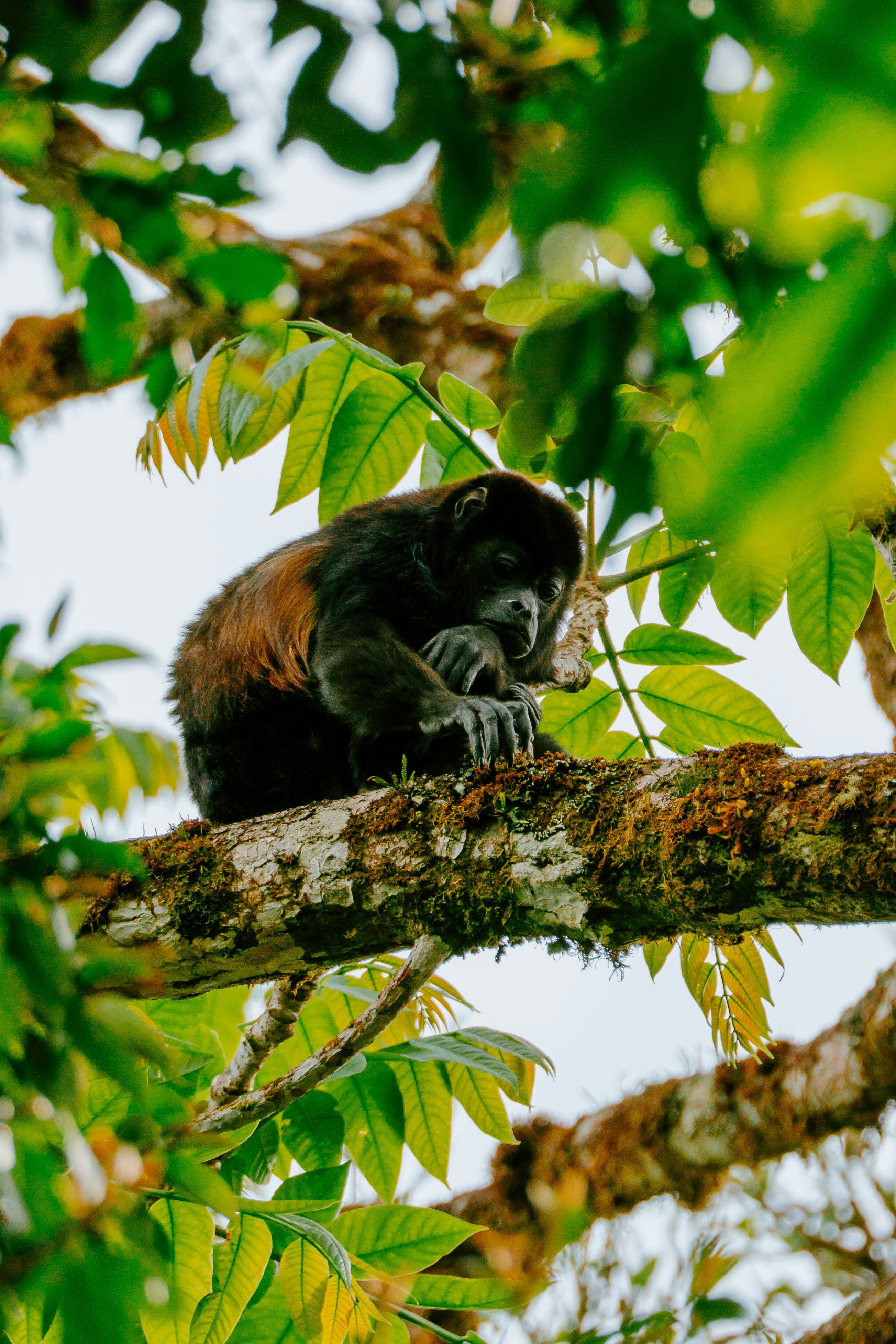 Photo by filizelaerts