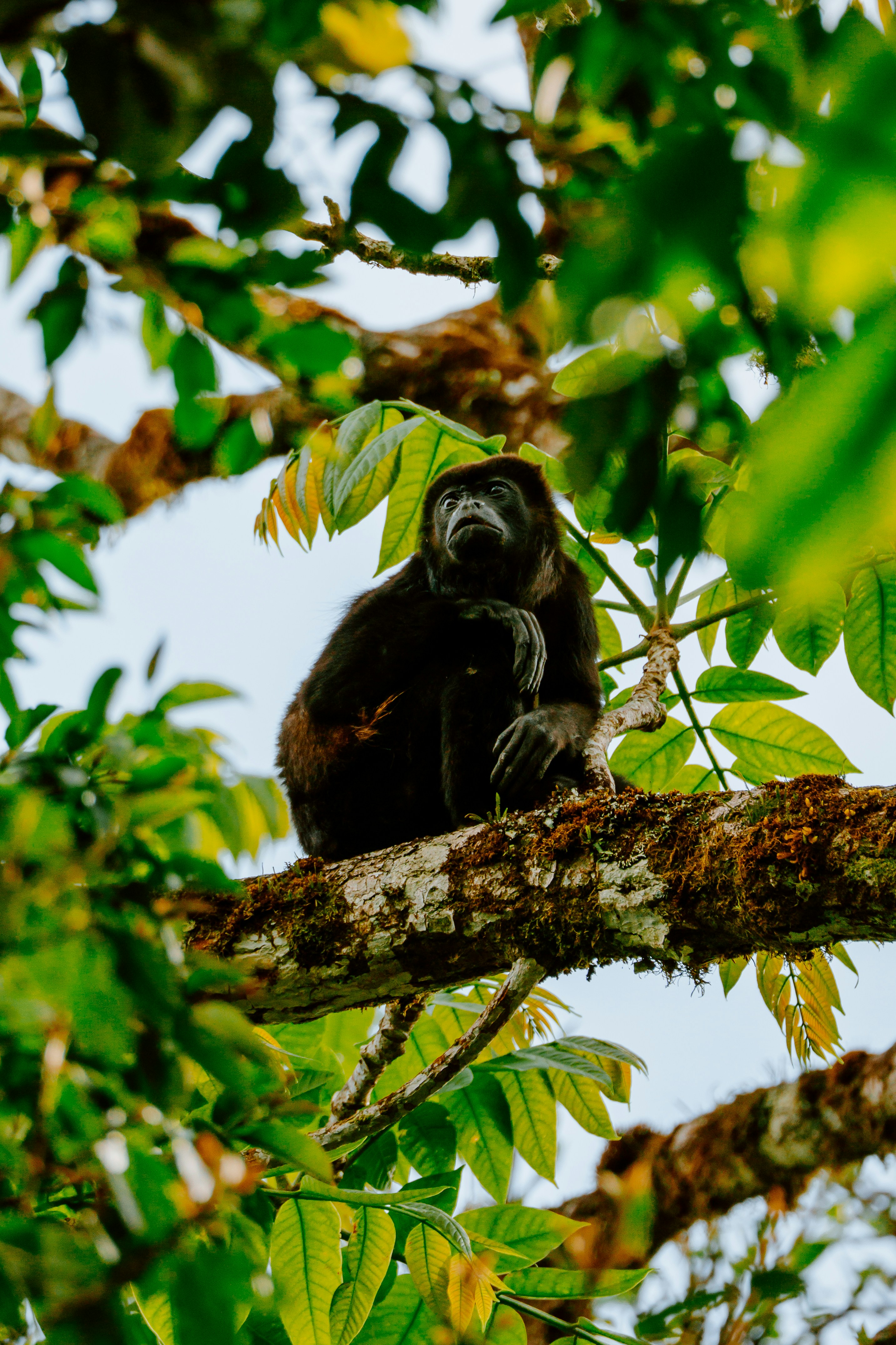 Photo by filizelaerts