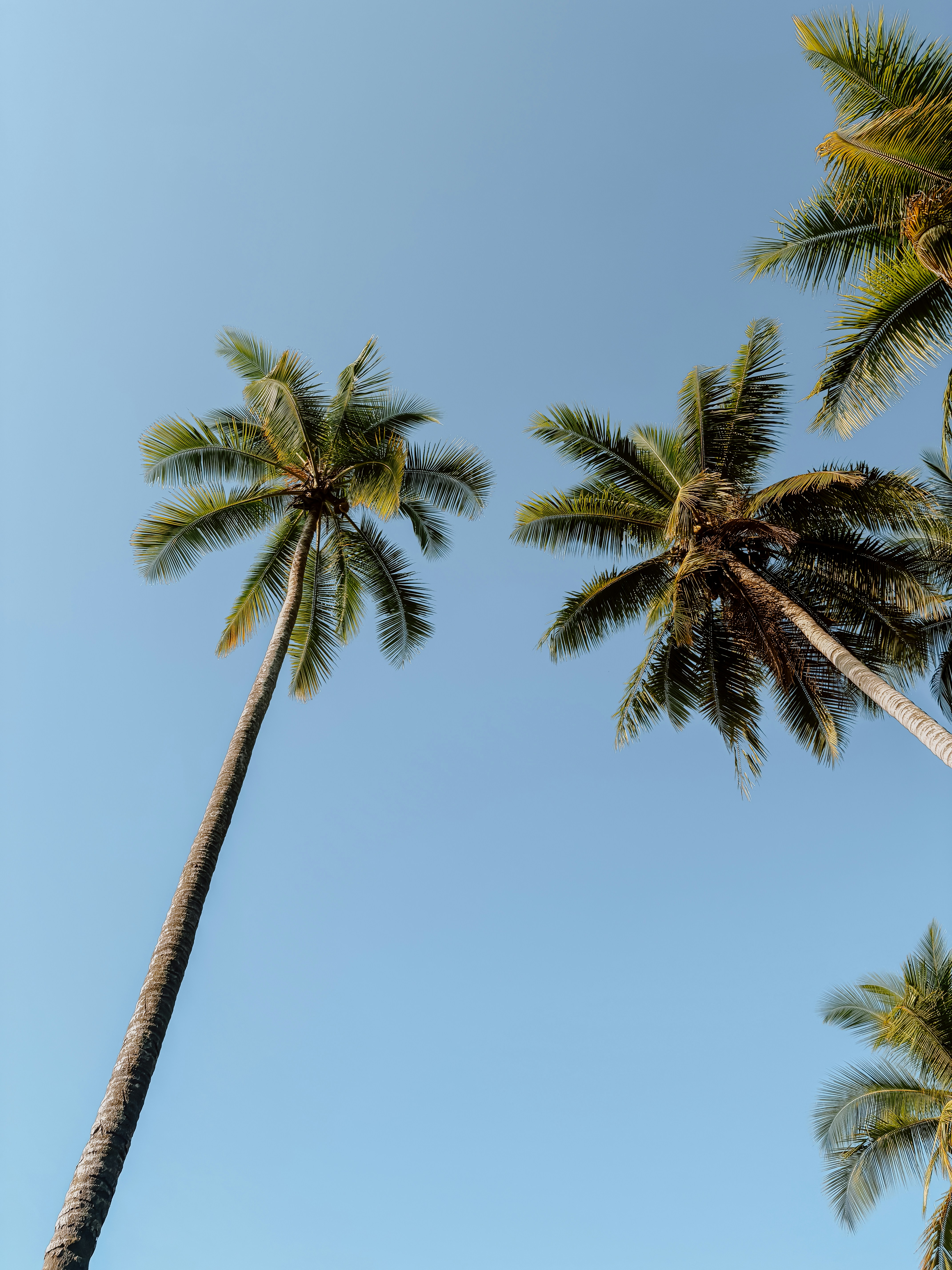 Photo by filizelaerts