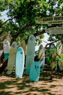 Surfboards lean on the beach ready for rental.