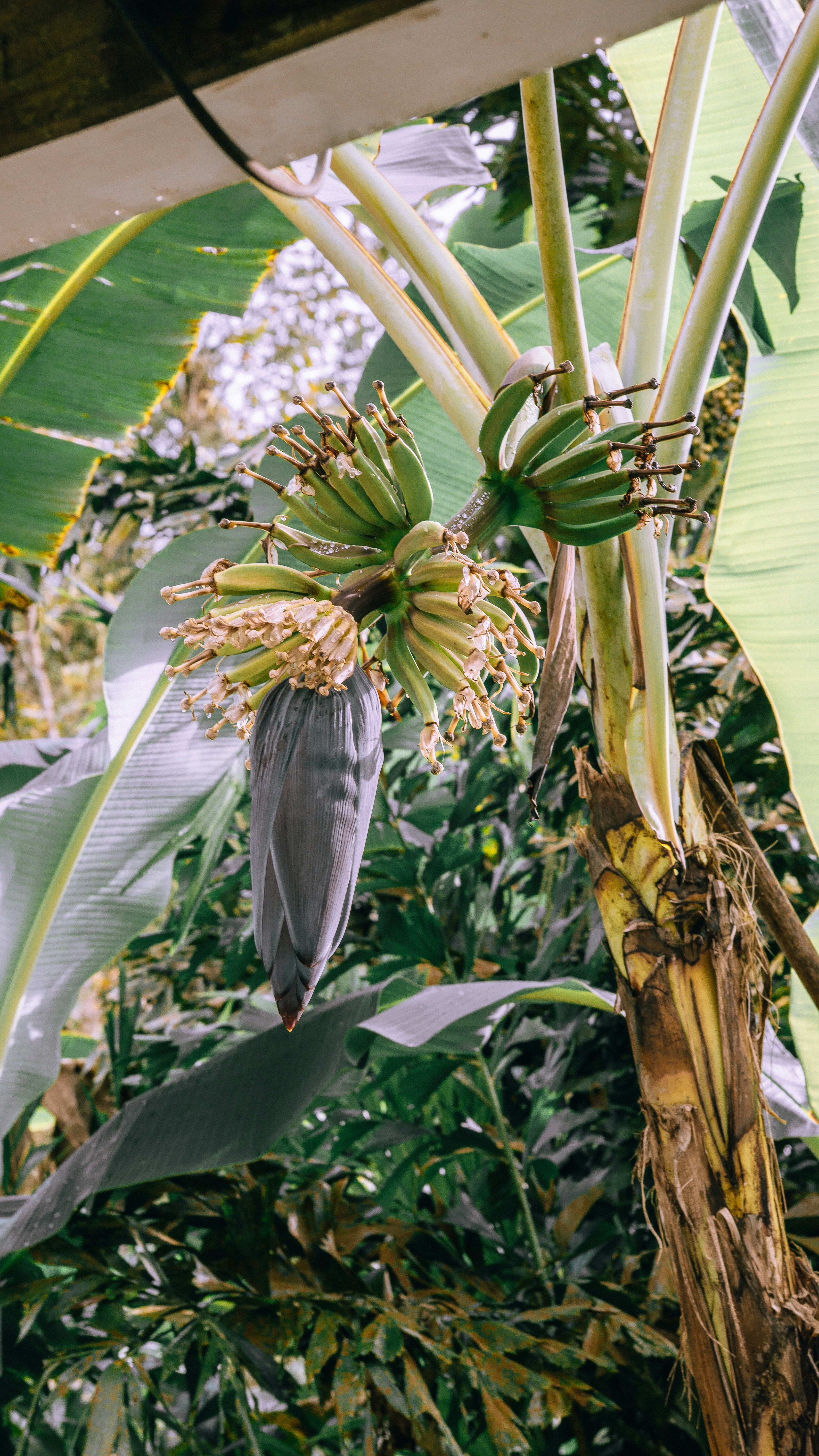 Photo by filizelaerts