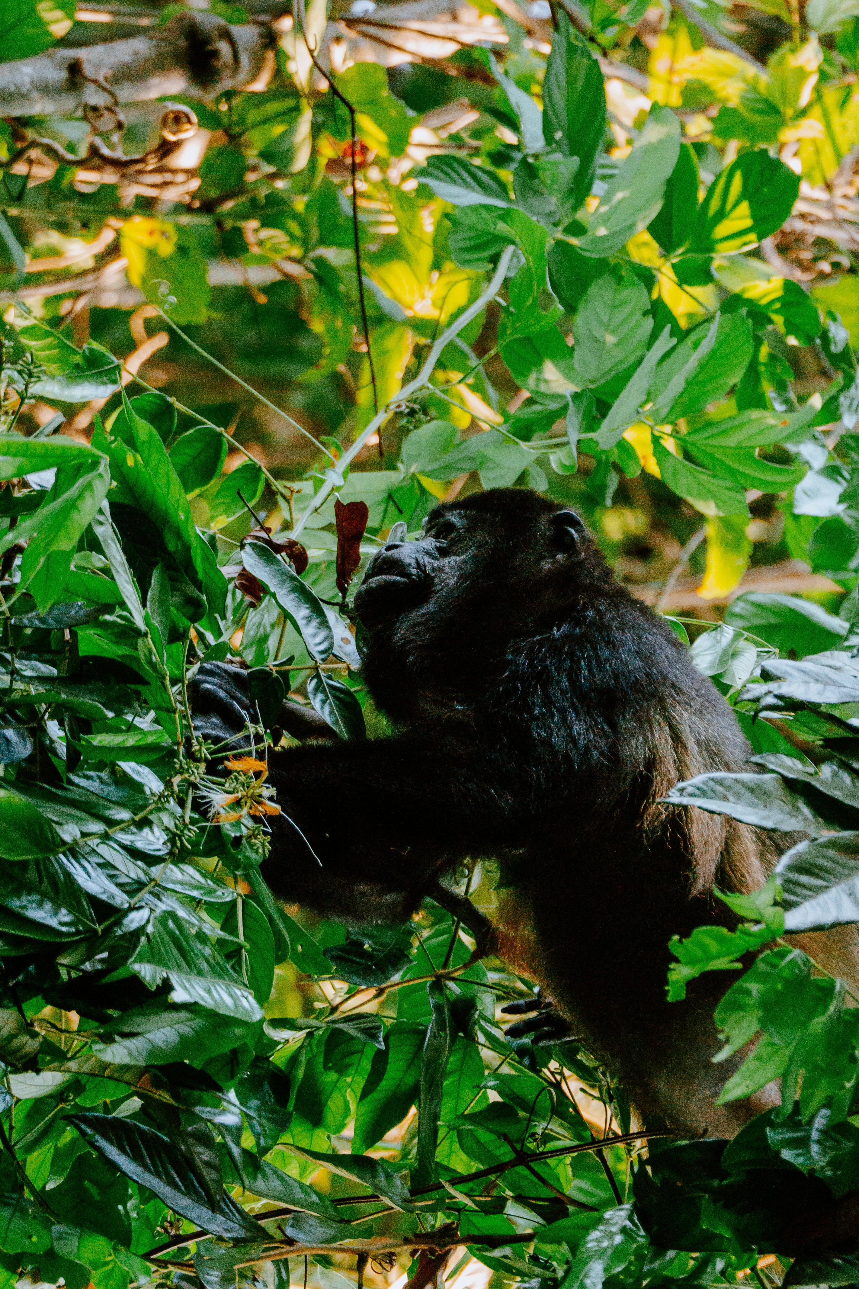 Photo by filizelaerts