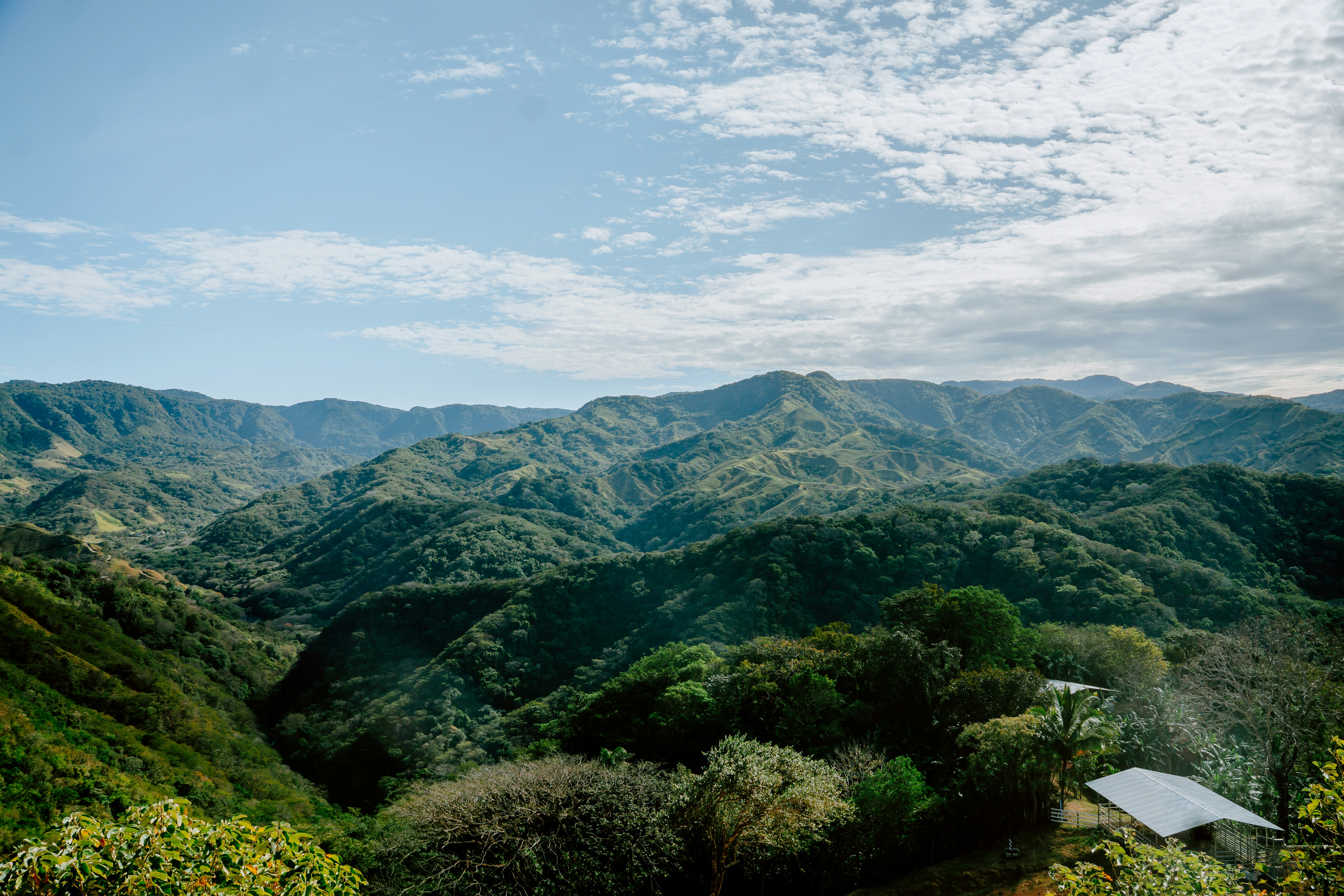 Photo by filizelaerts