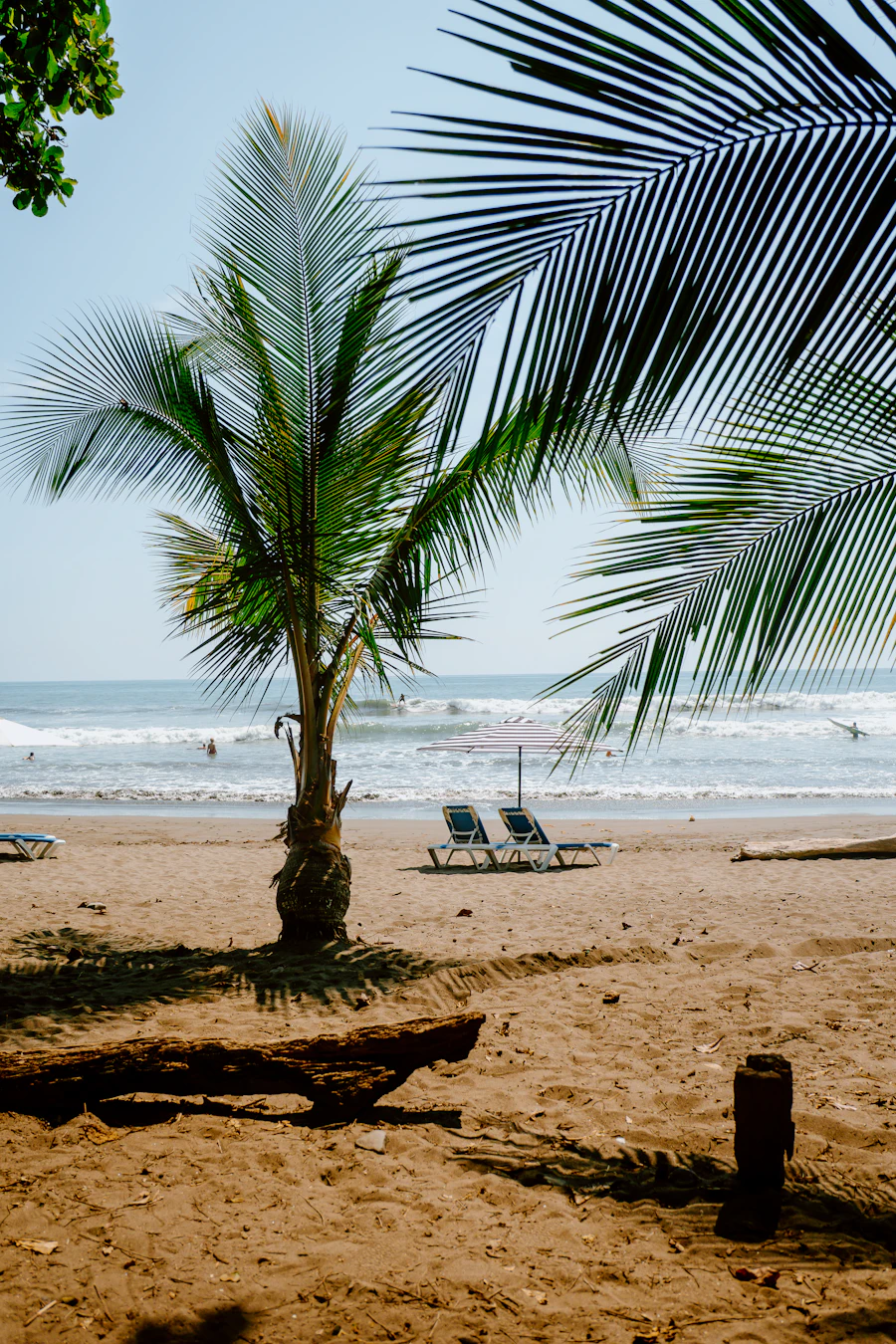 Tamarindo beach