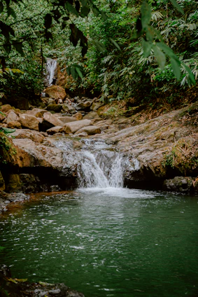 A tranquil waterfall flows into a verdant pool